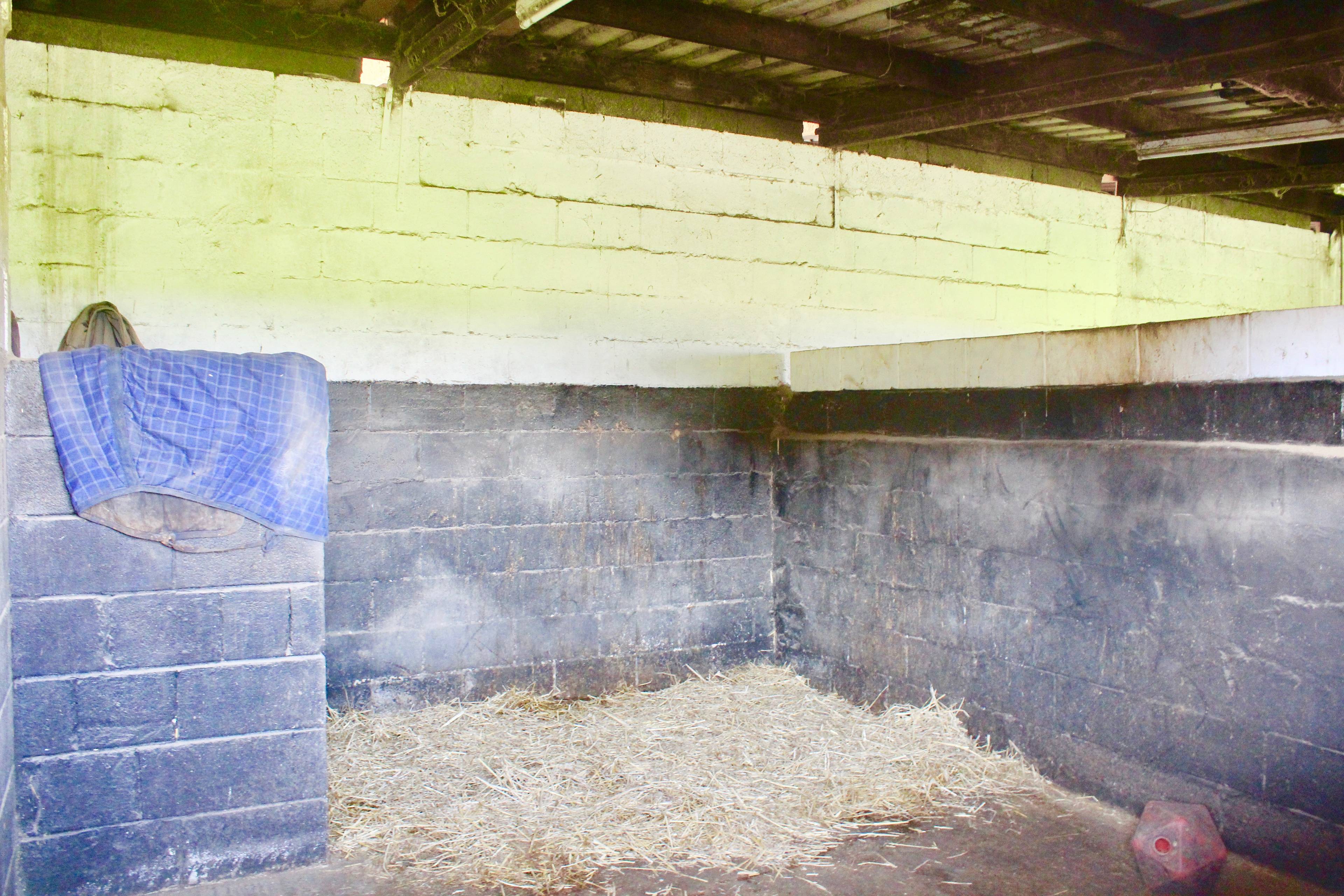 Stable