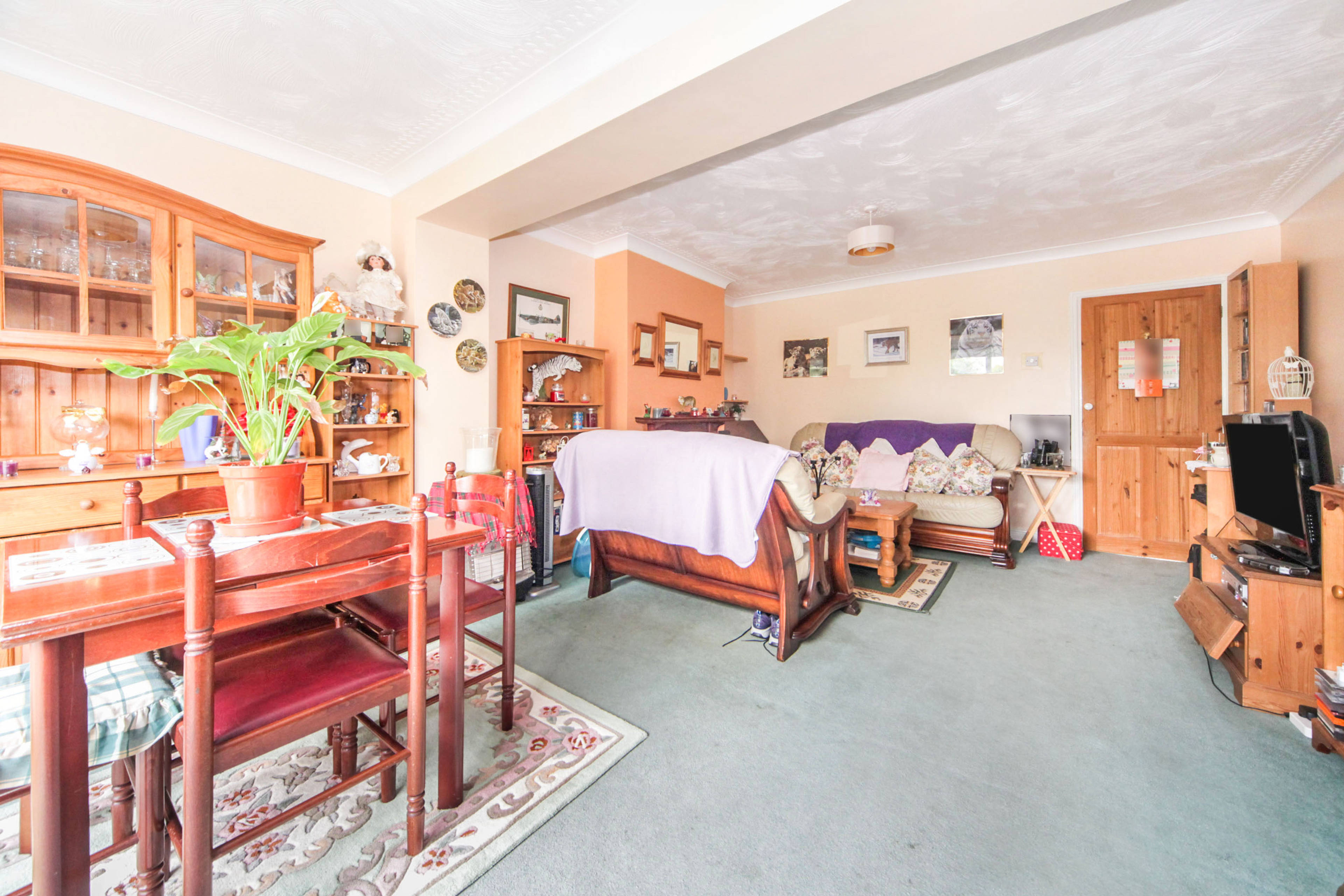 Living / Dining Room