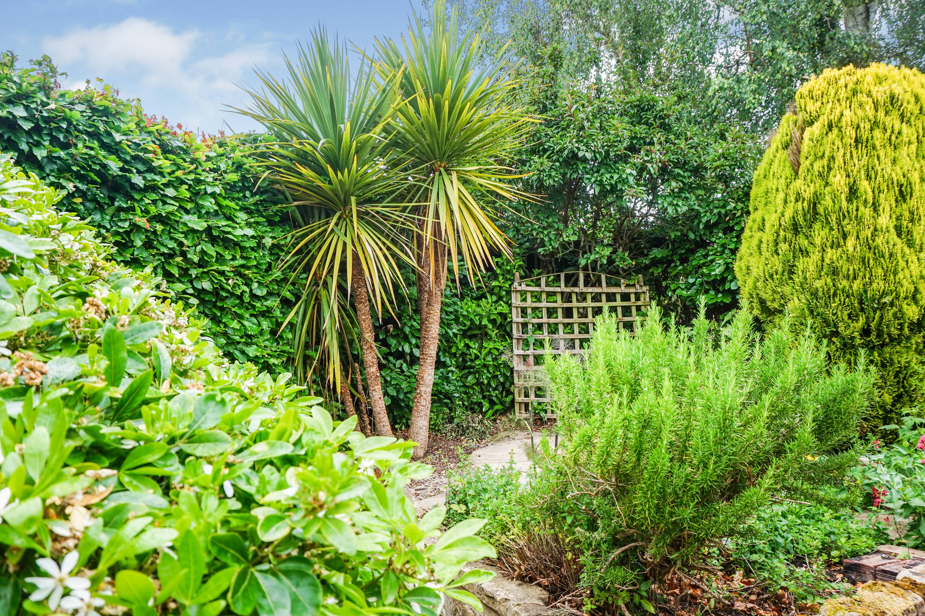 Side Garden