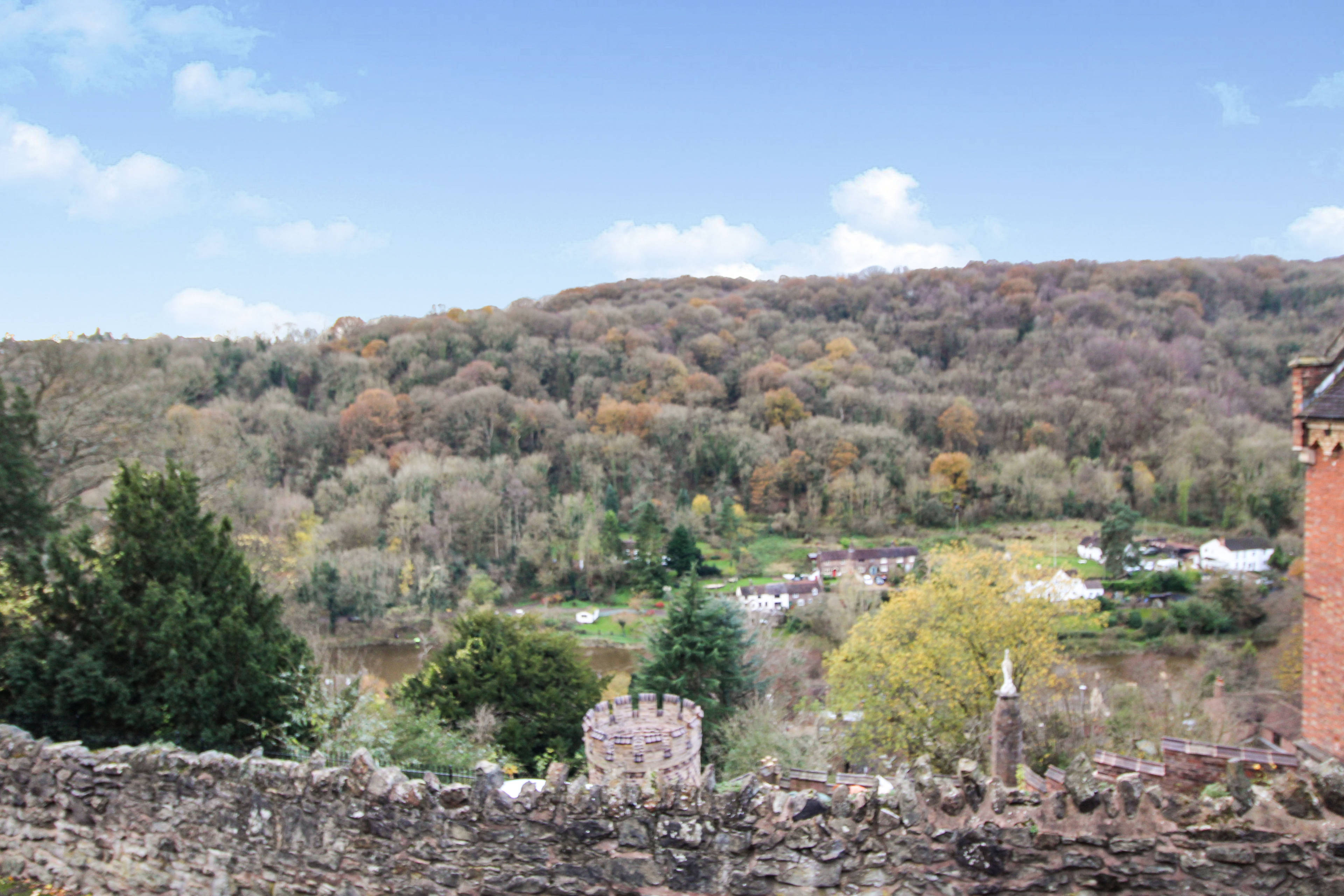 View