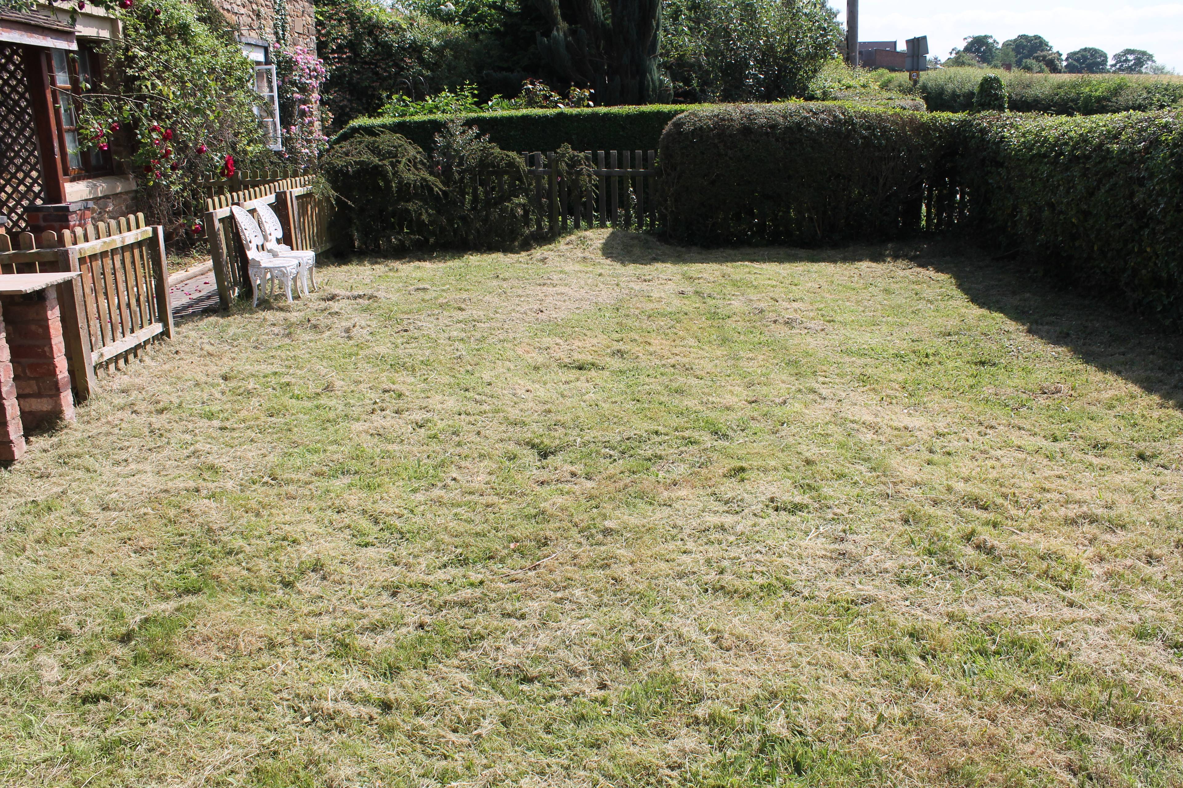 Cottage Garden