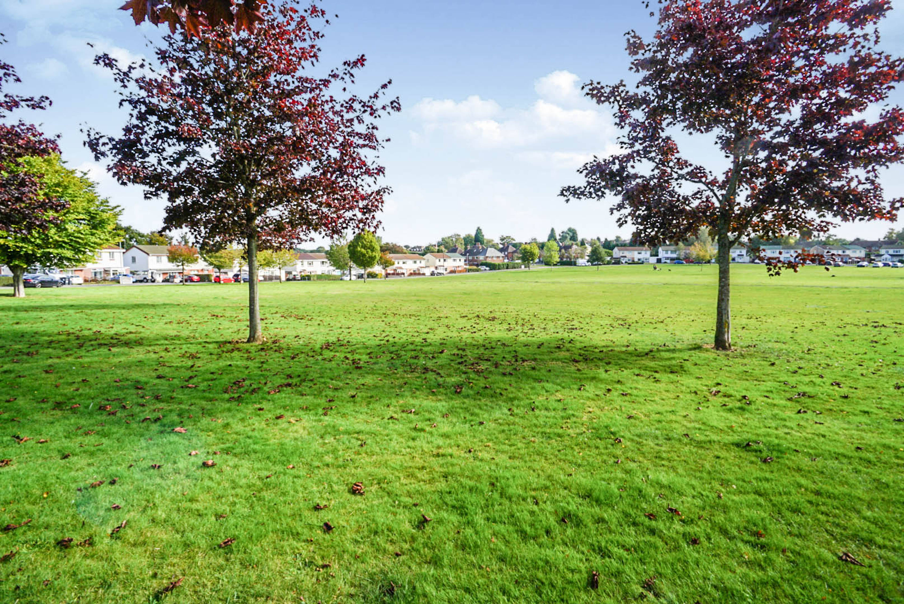 Nearby Park