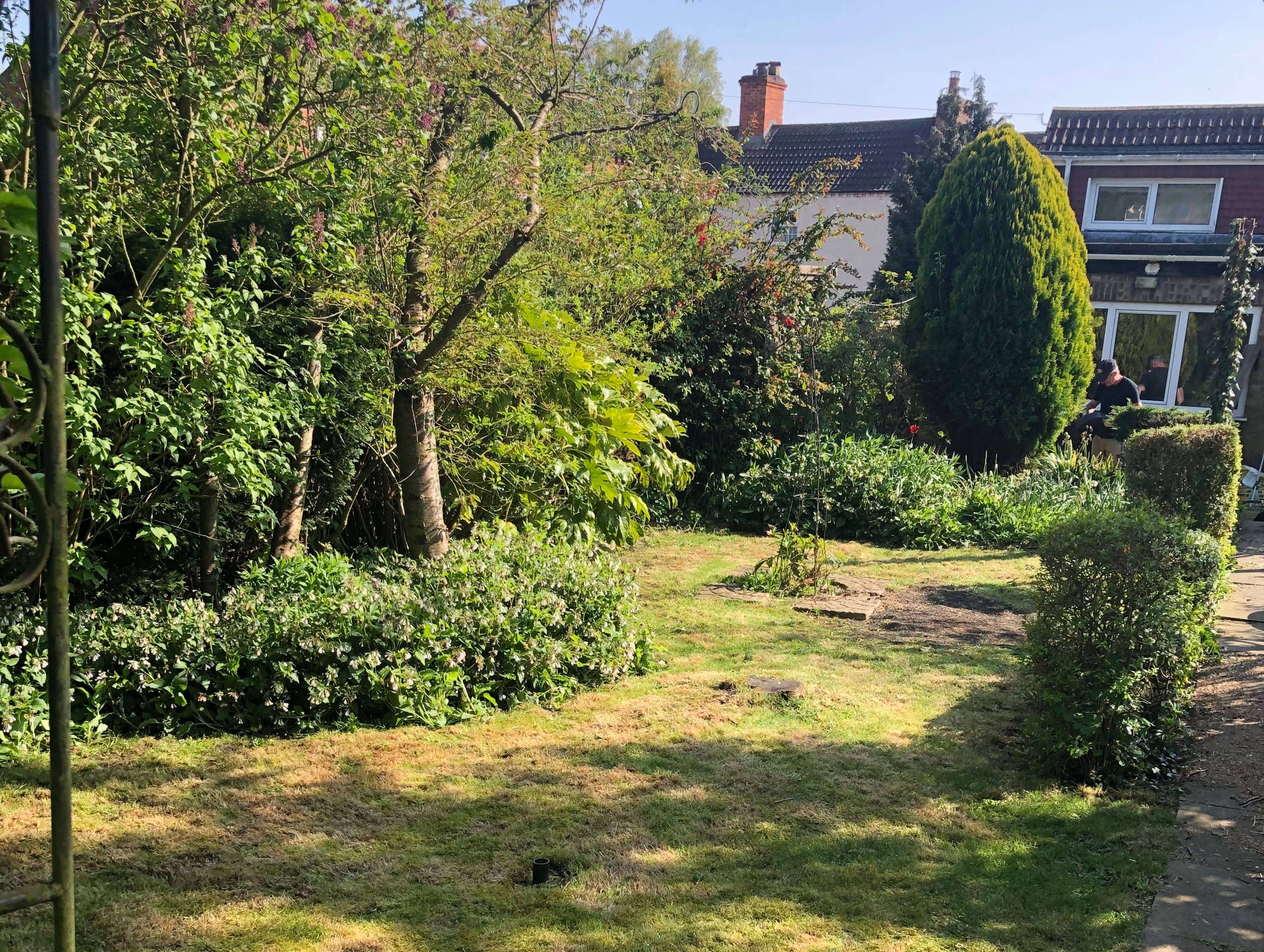 Mature Garden