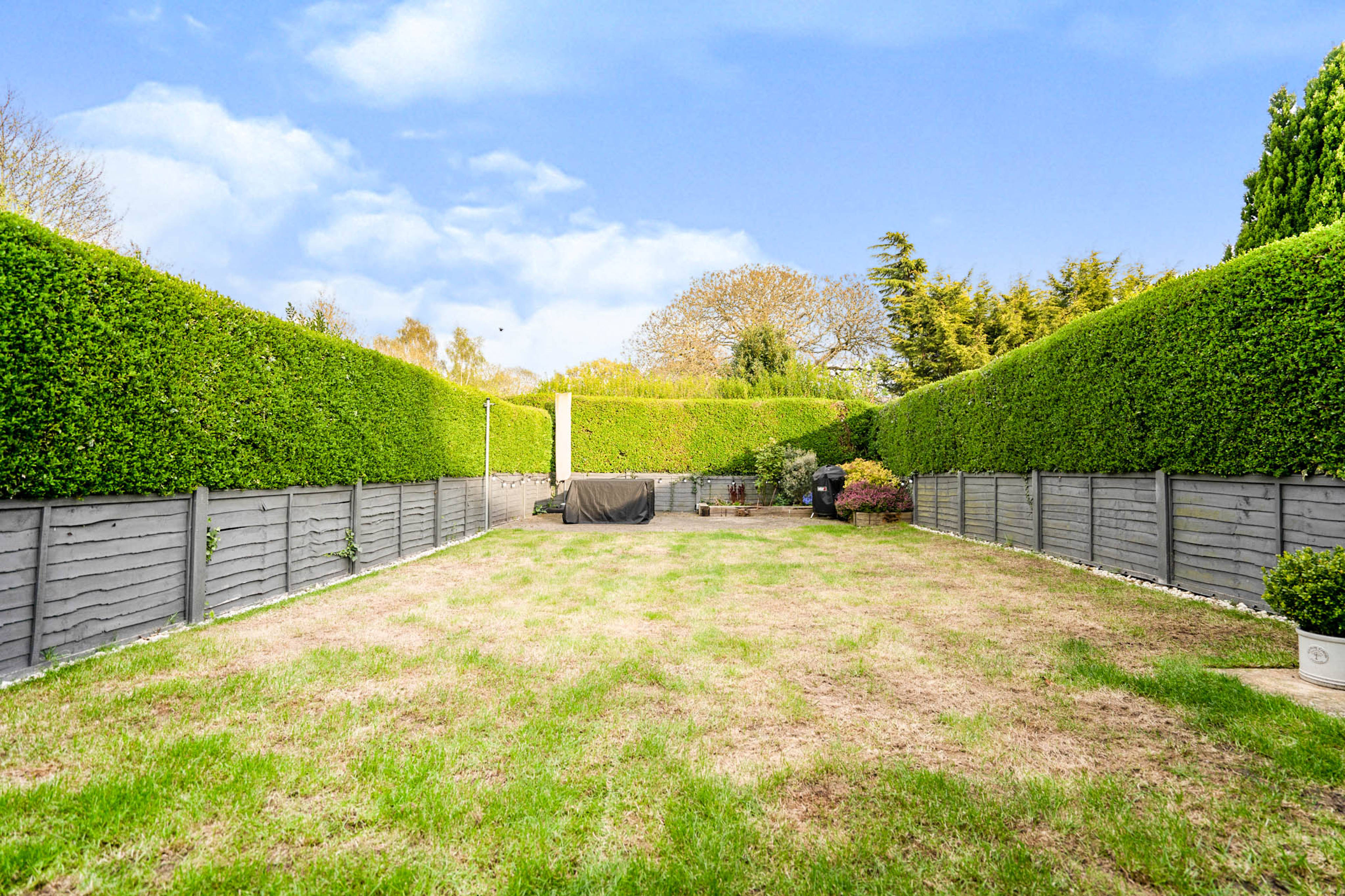 garden
