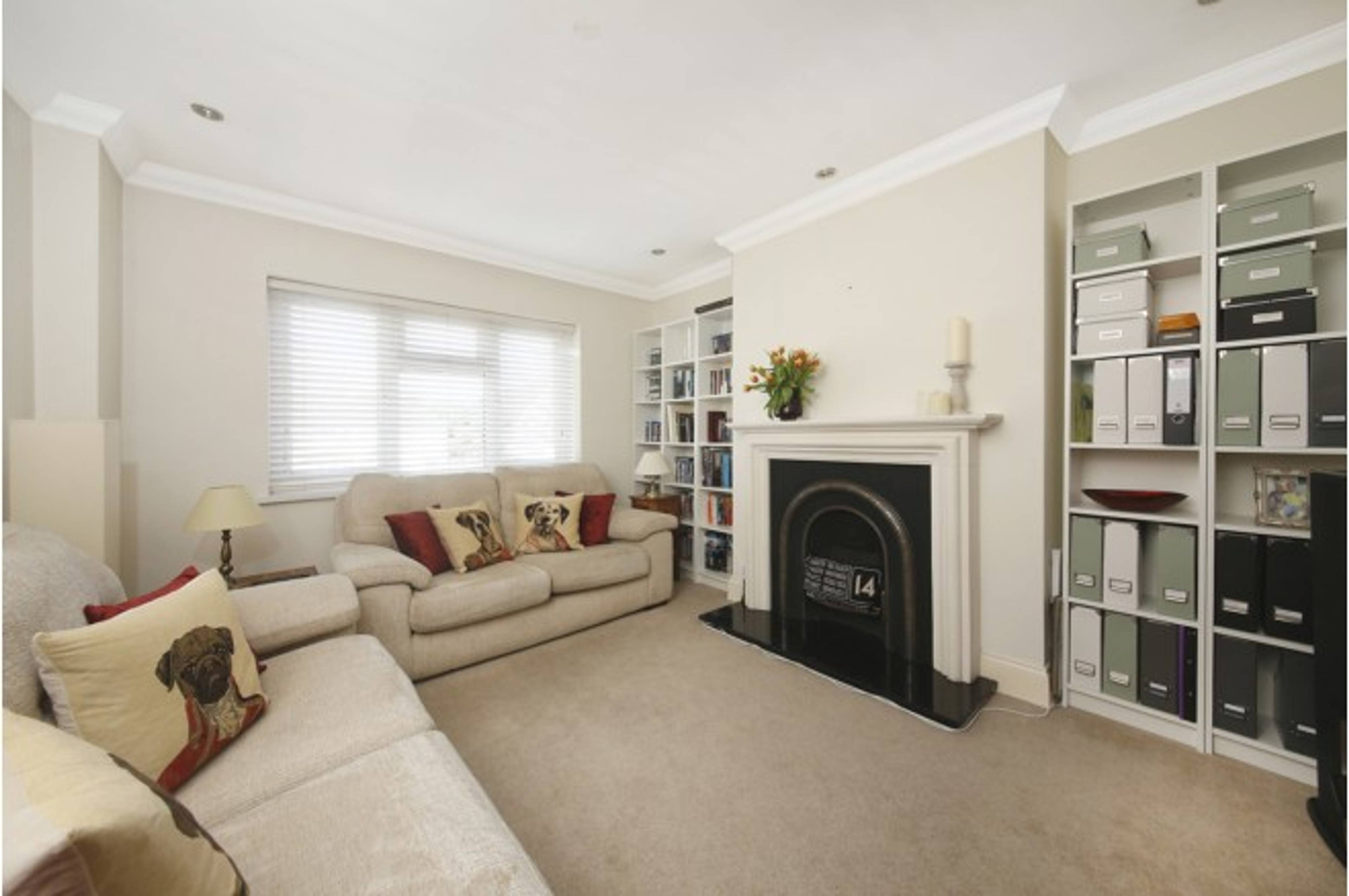 Living Room/Bedroom