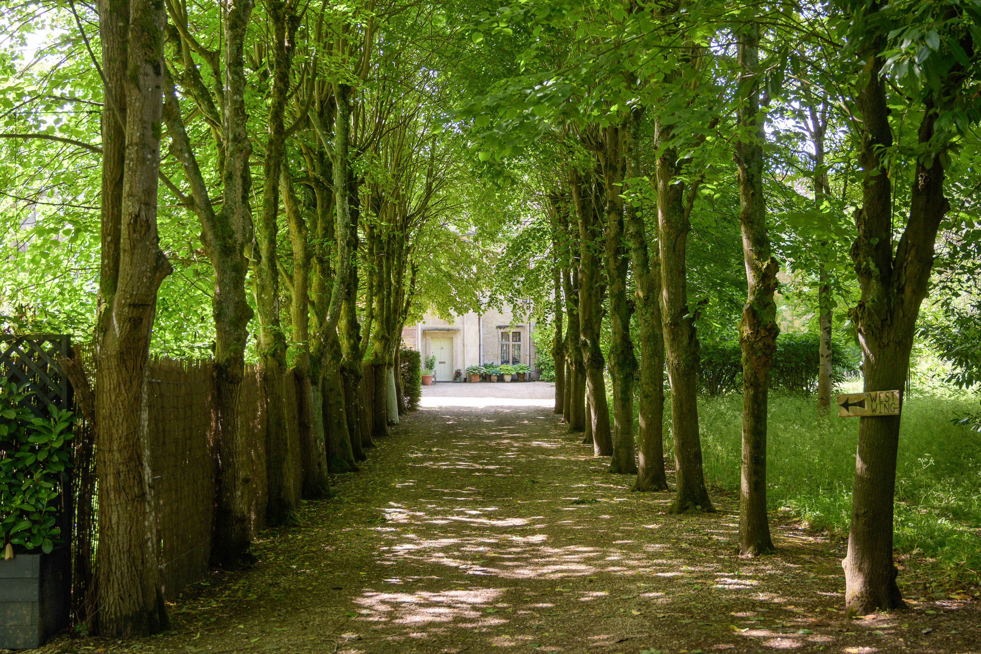 Driveway