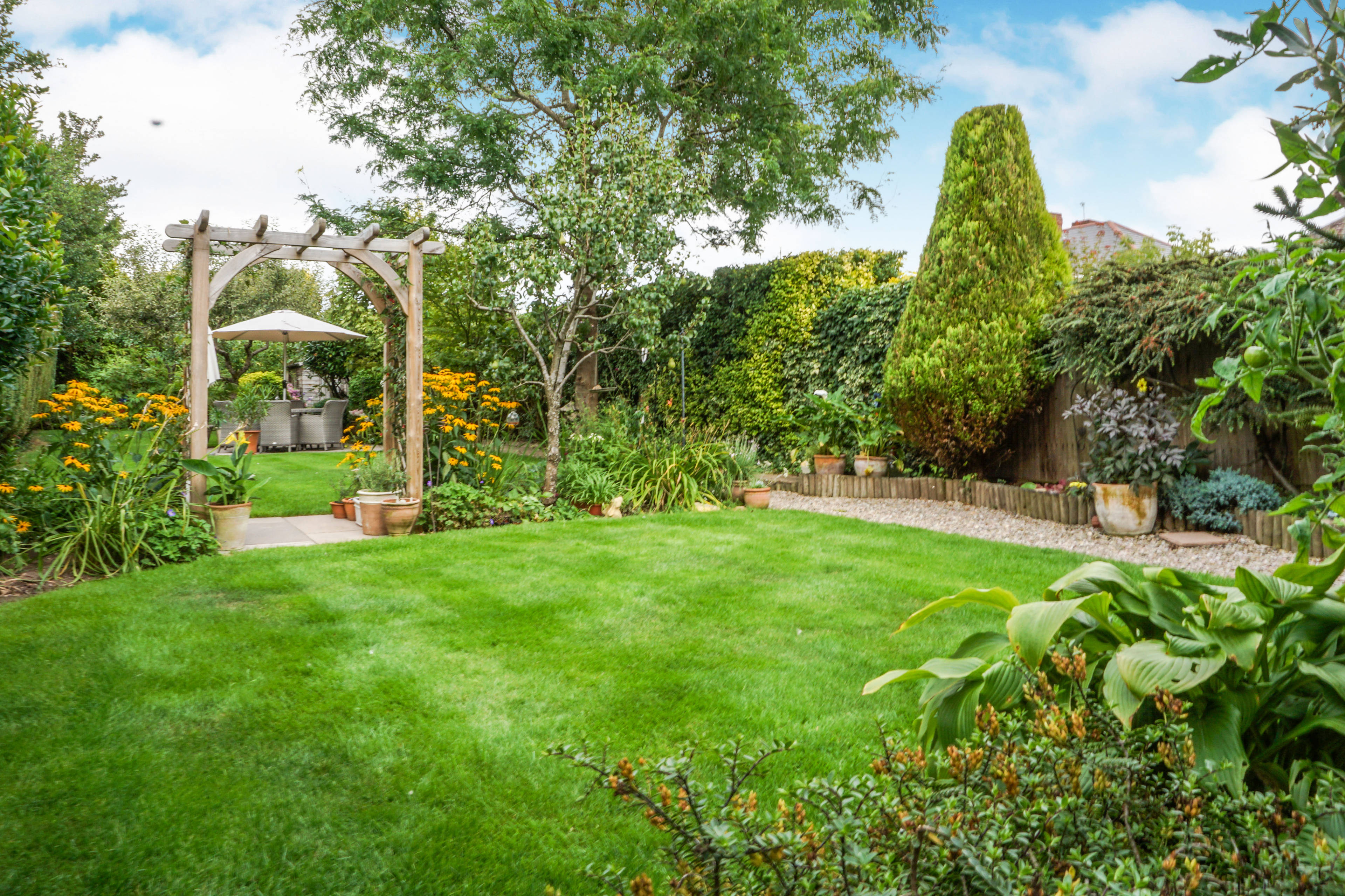 garden