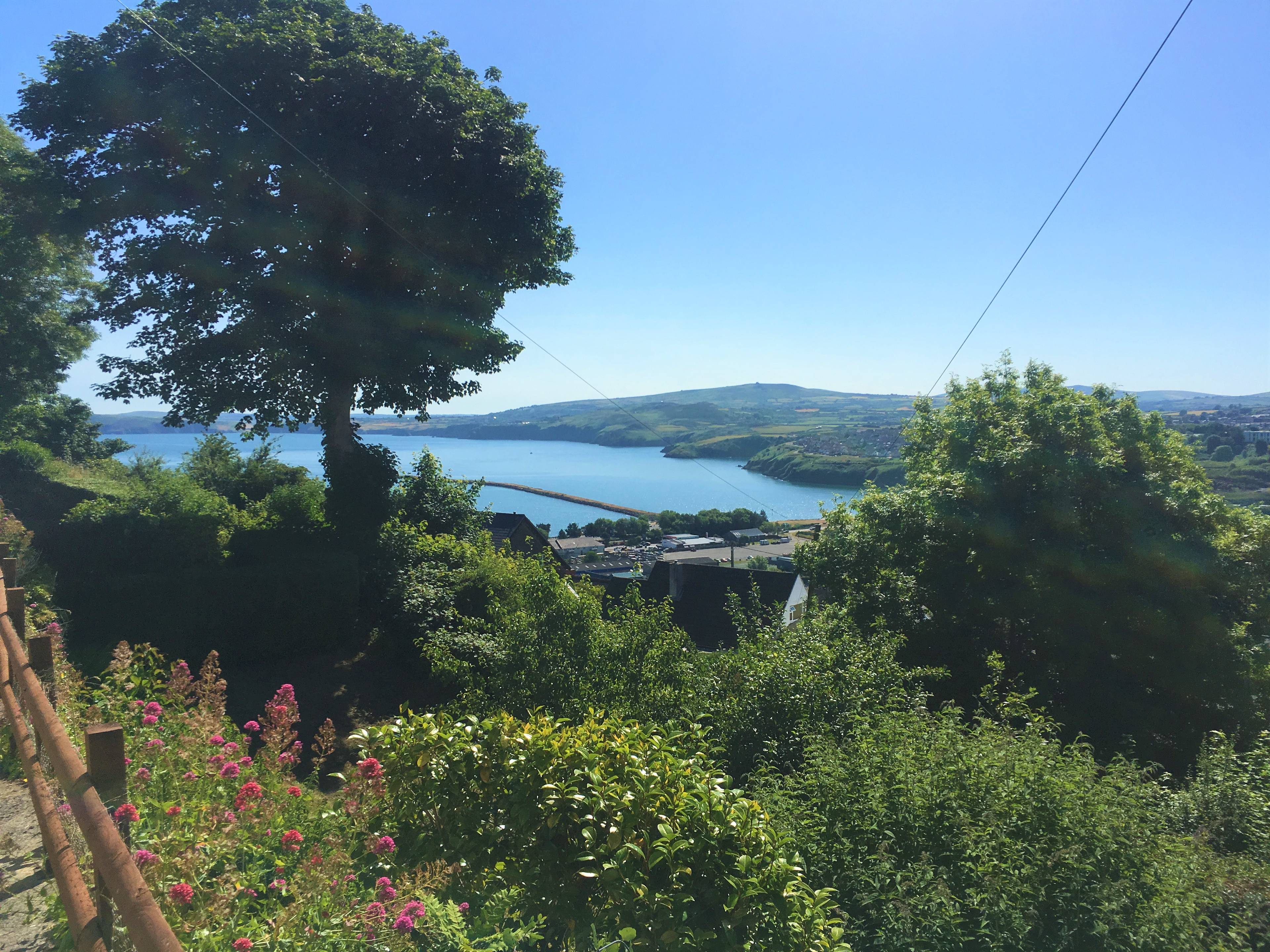 View