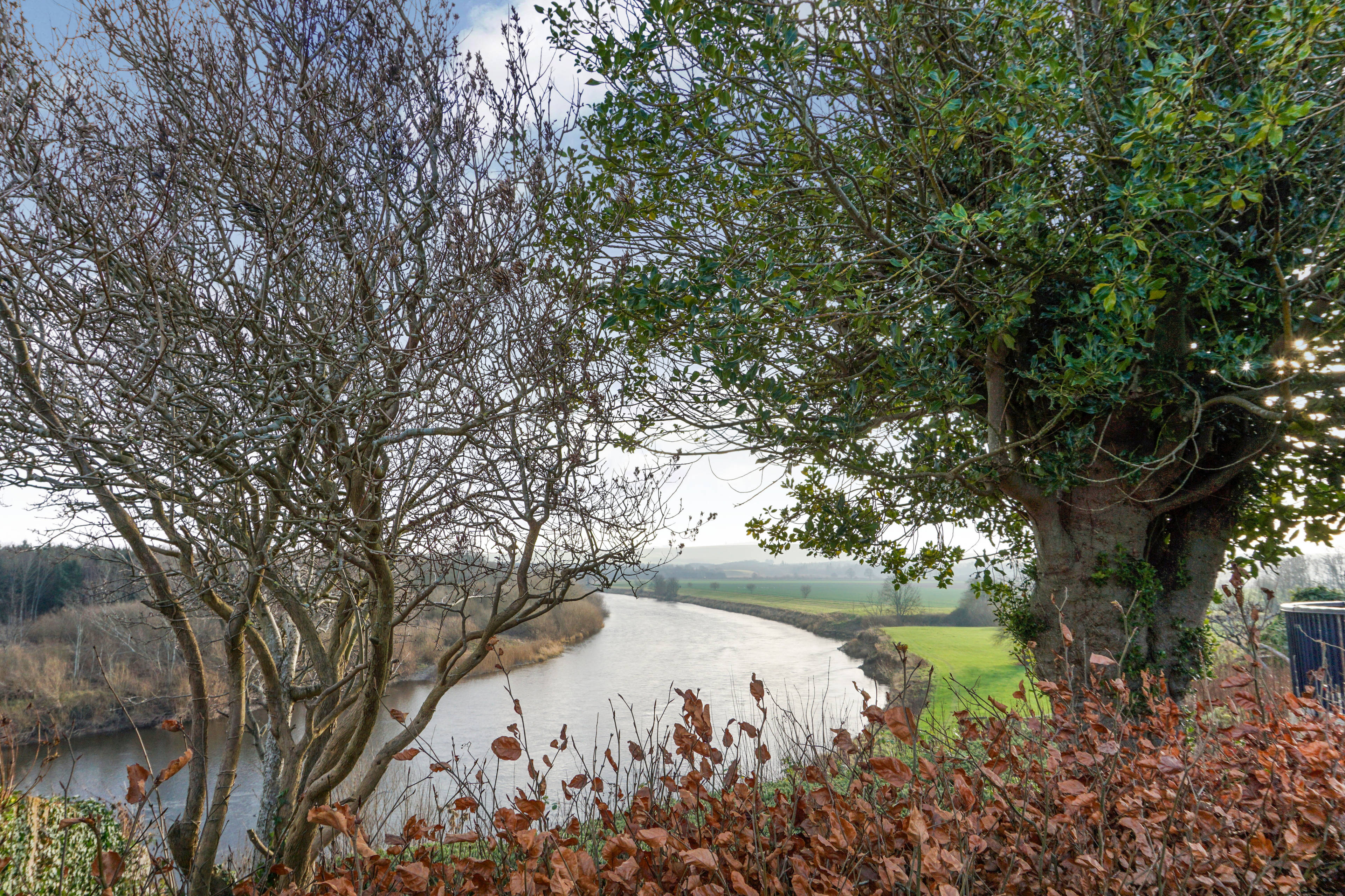 Nearby River