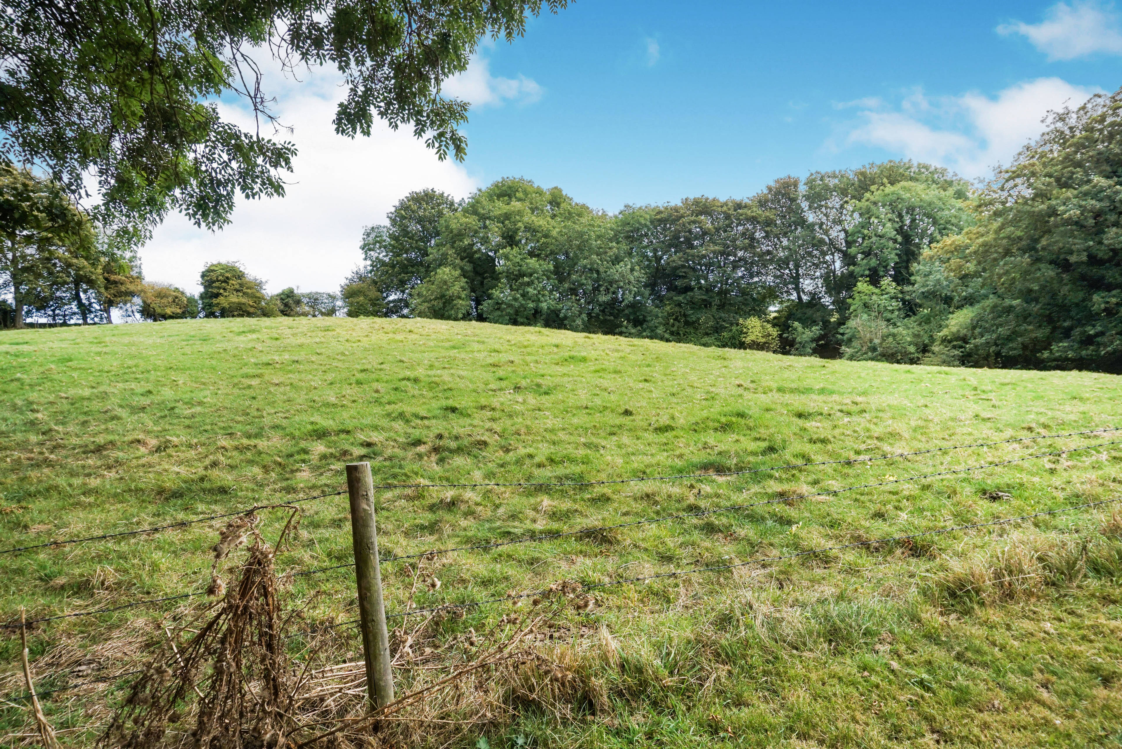 Paddock