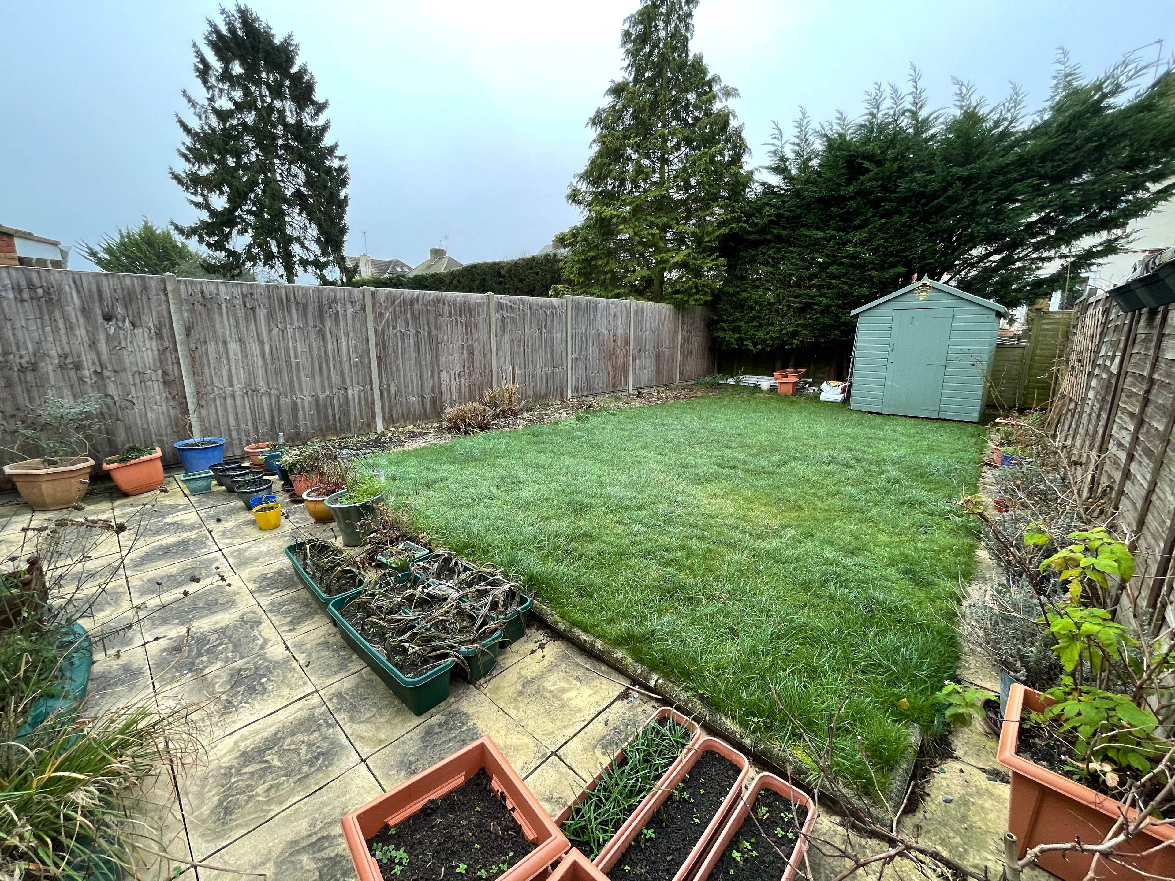 Garden