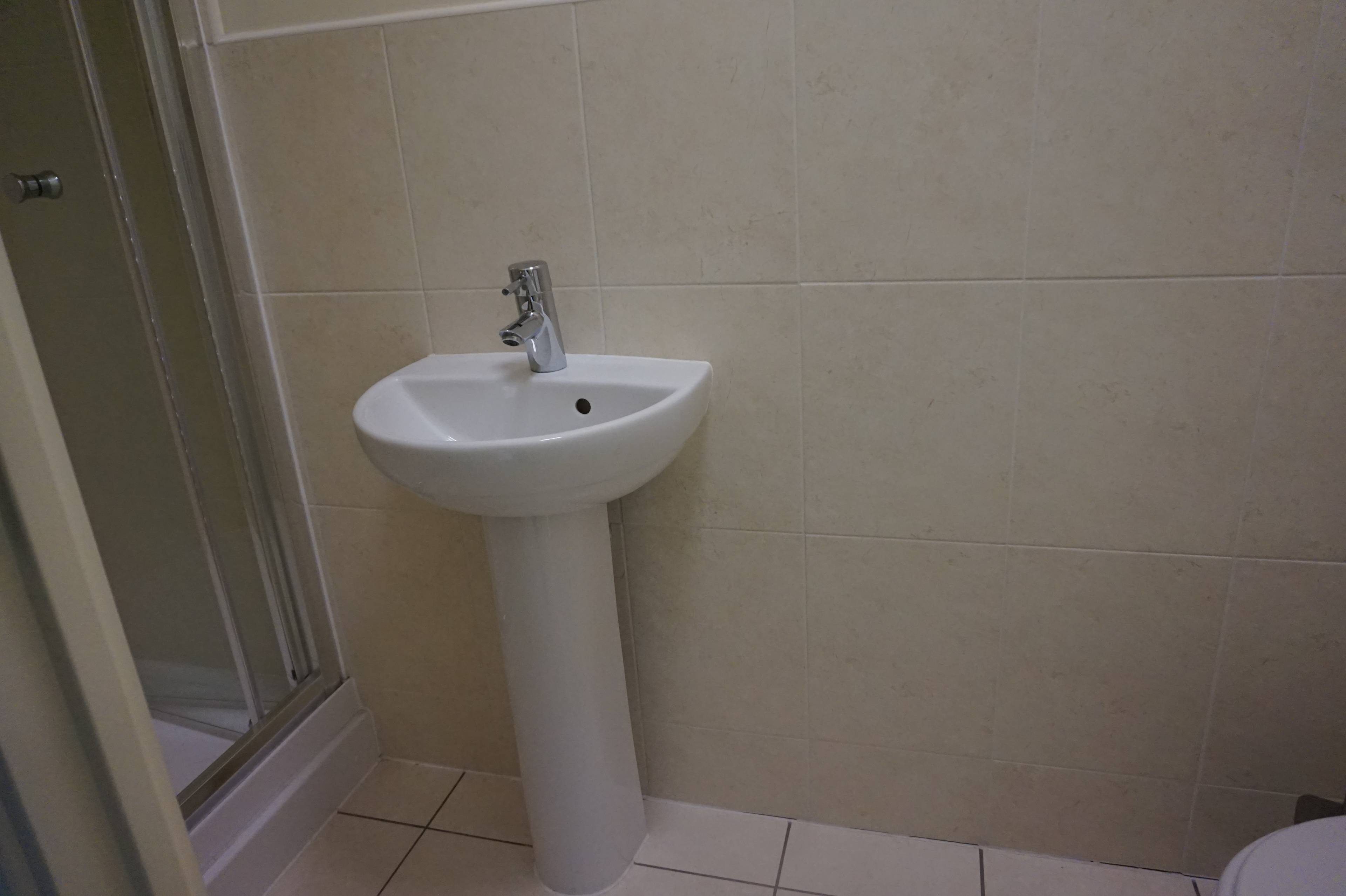 Downstairs Shower