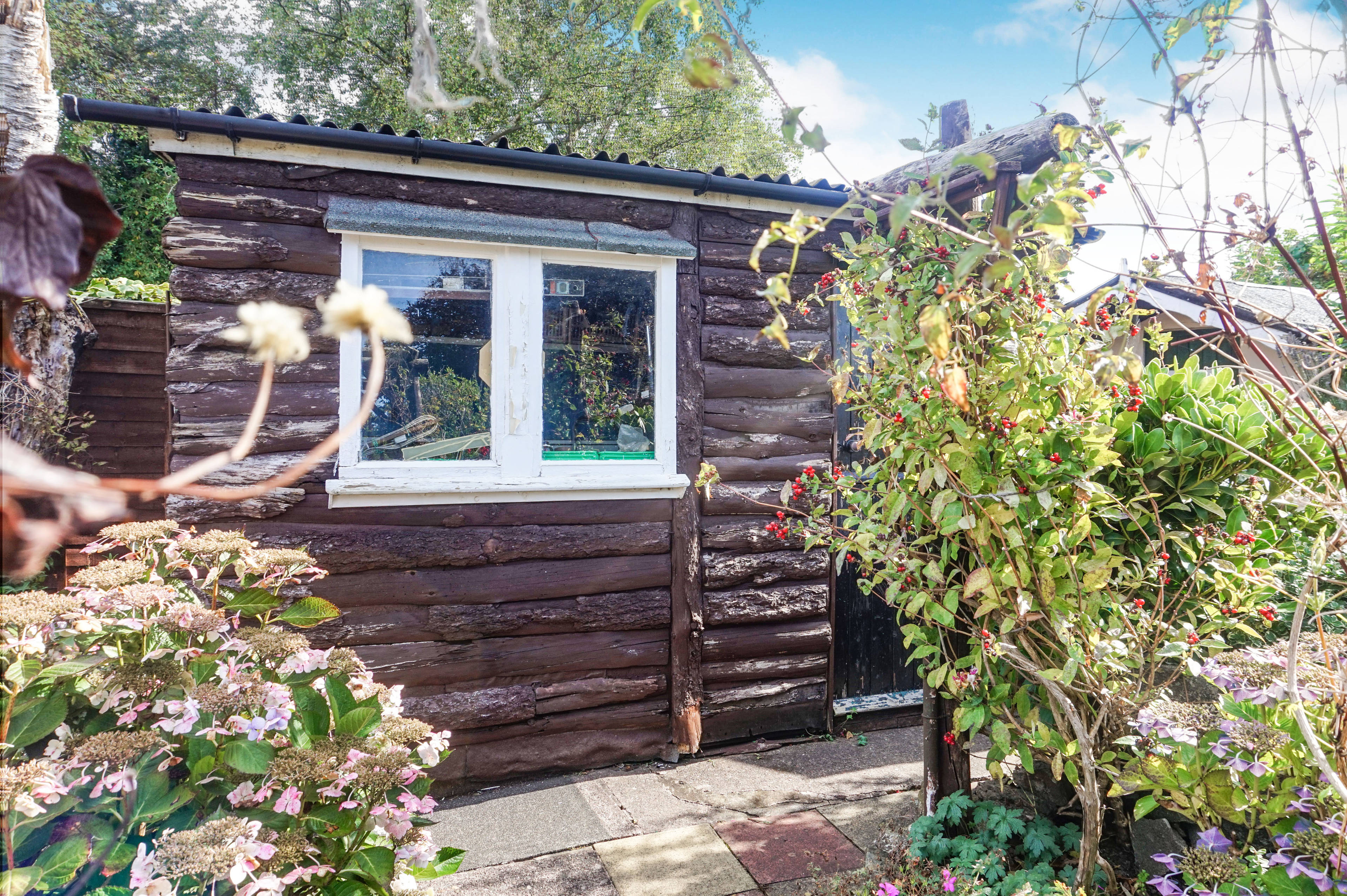 Shed