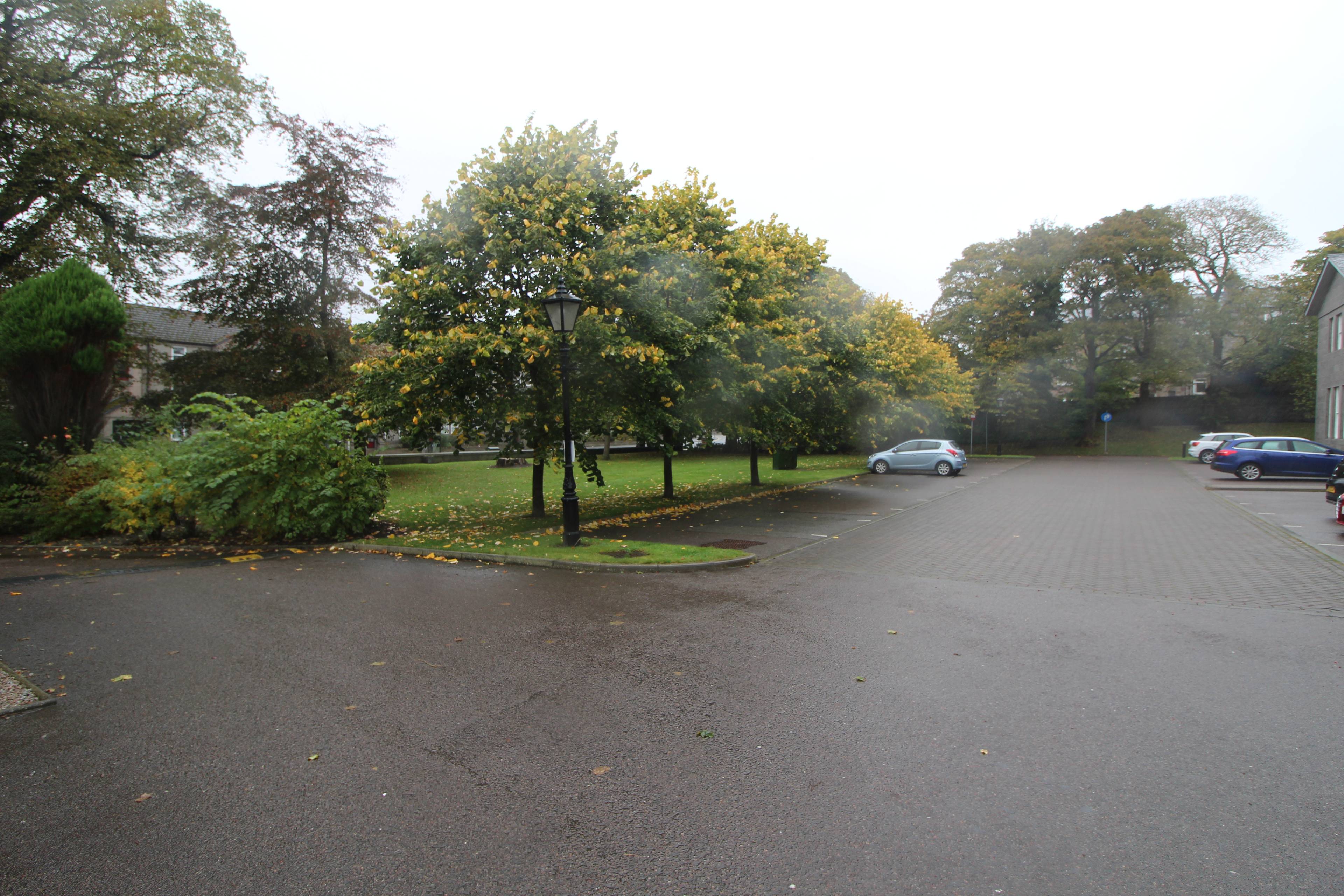 Grounds