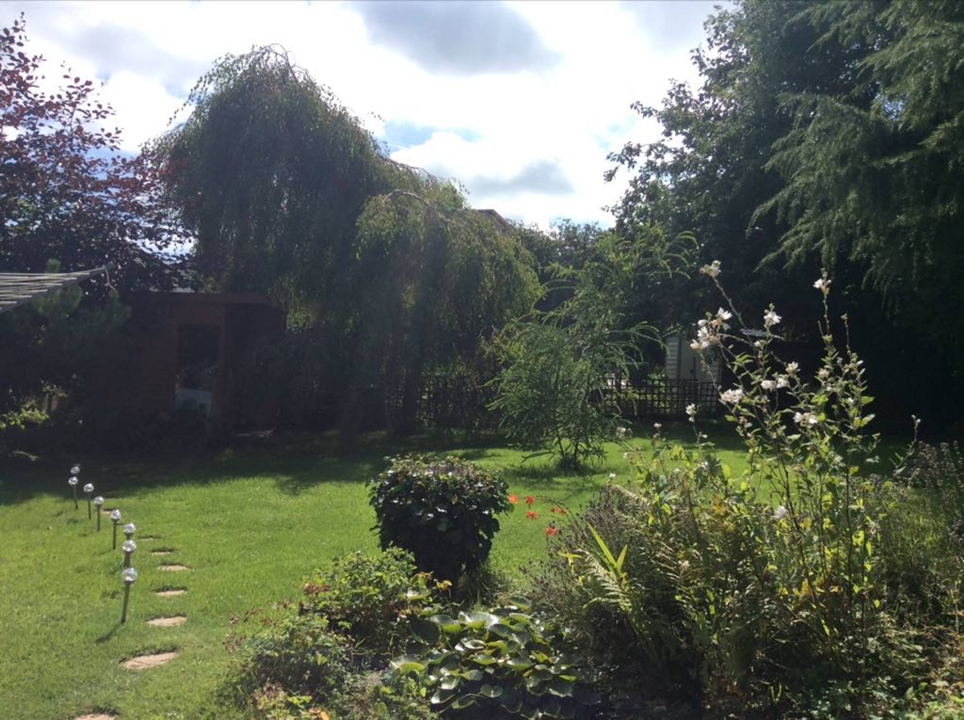 Rear garden