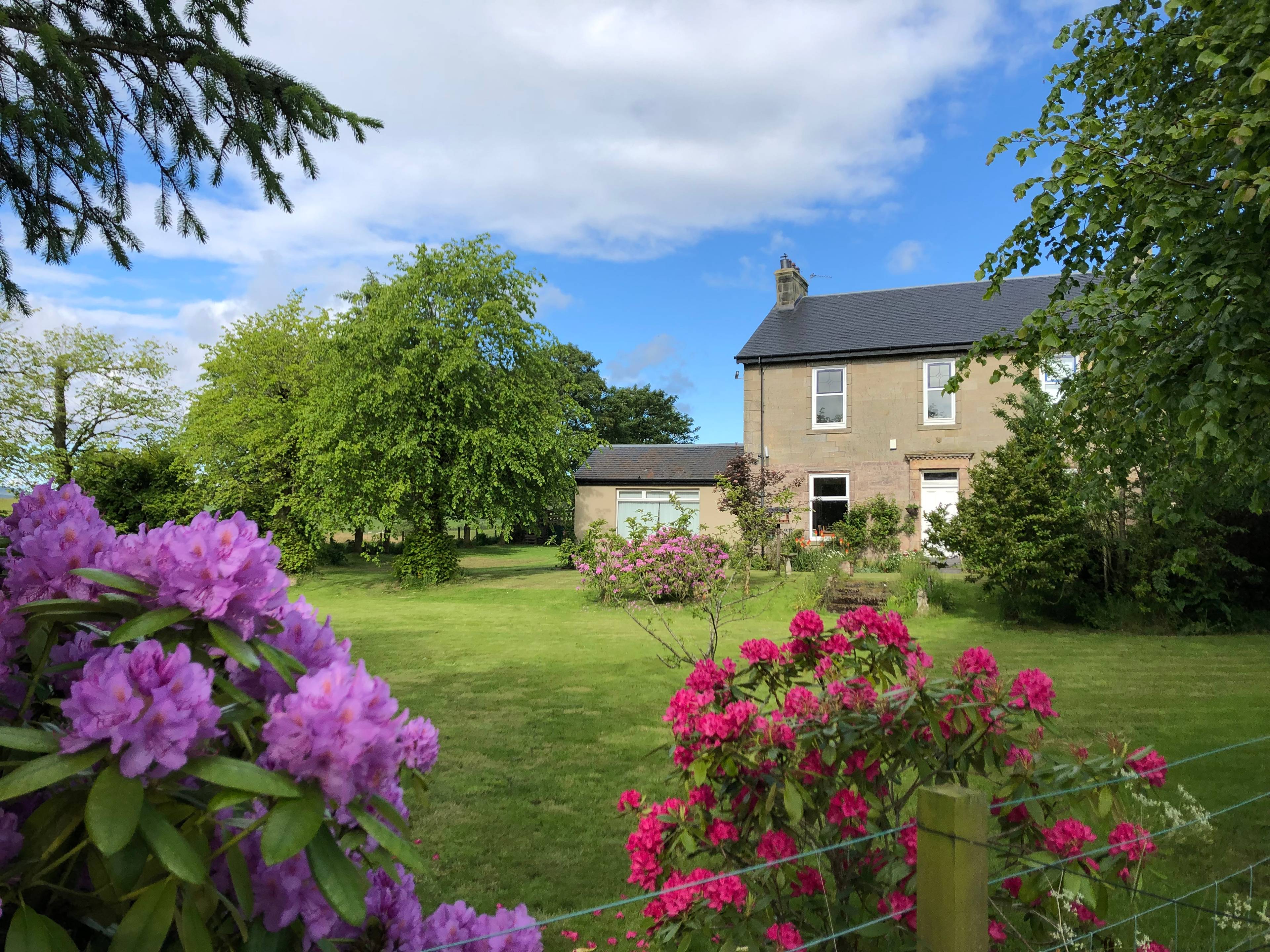 Front Garden