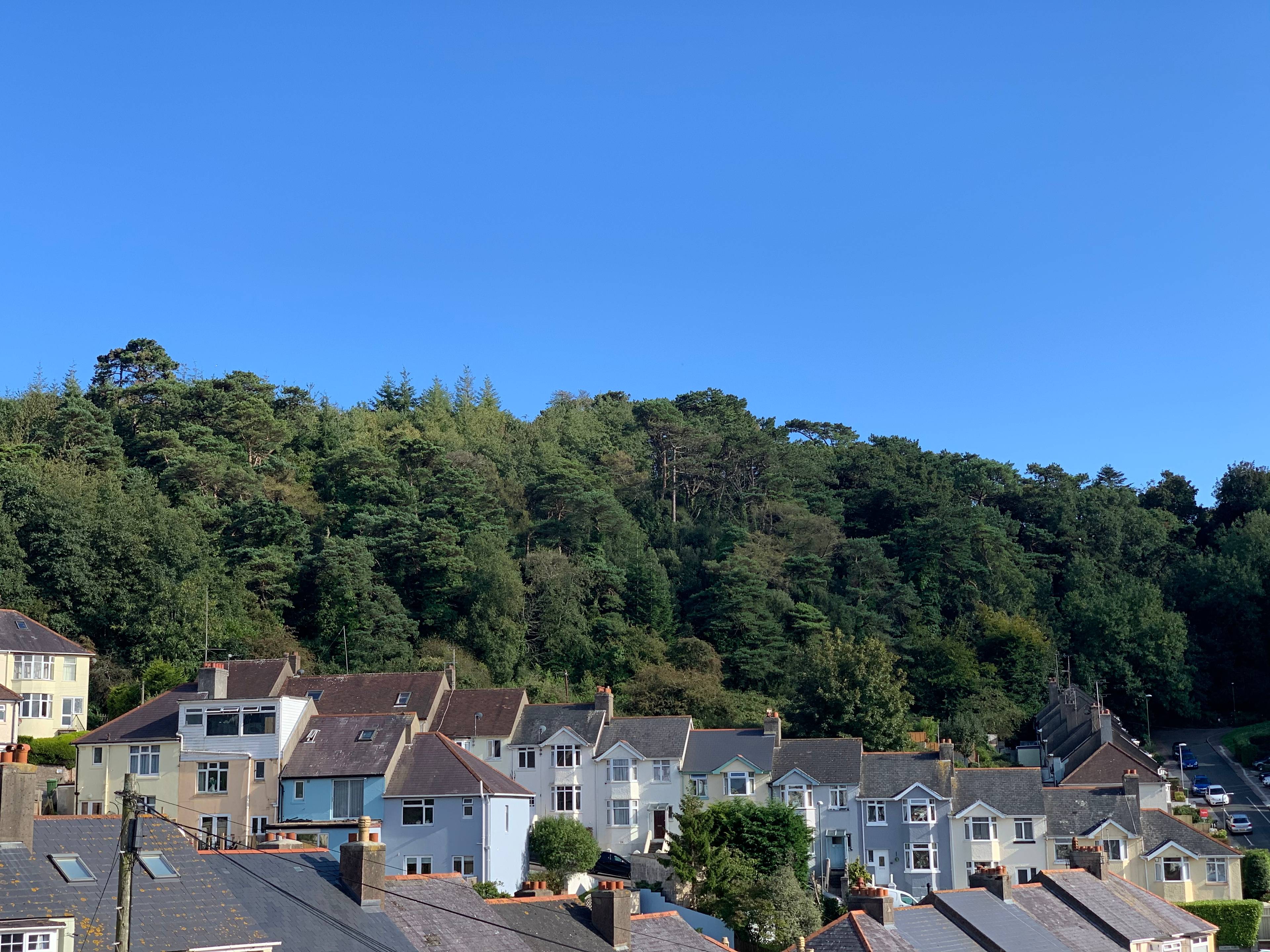 View