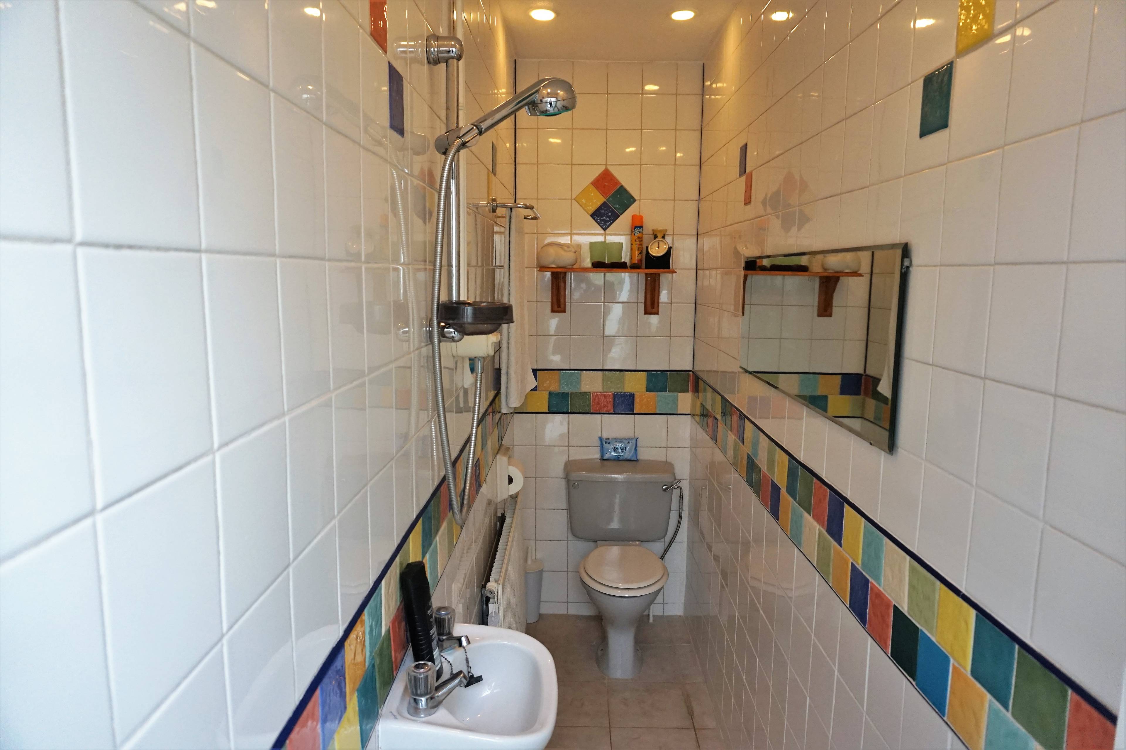 Downstairs Shower
