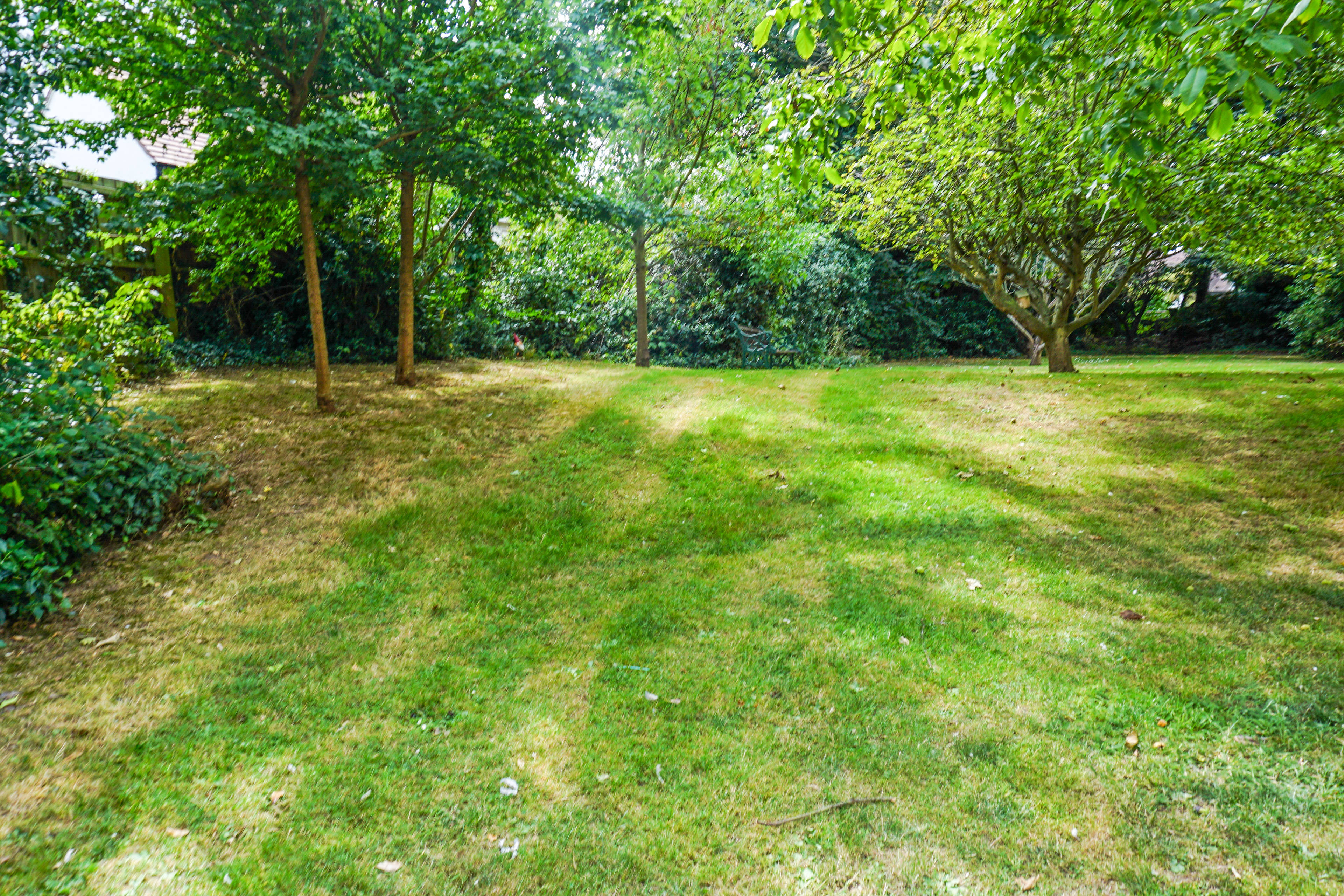 Communal Gardens