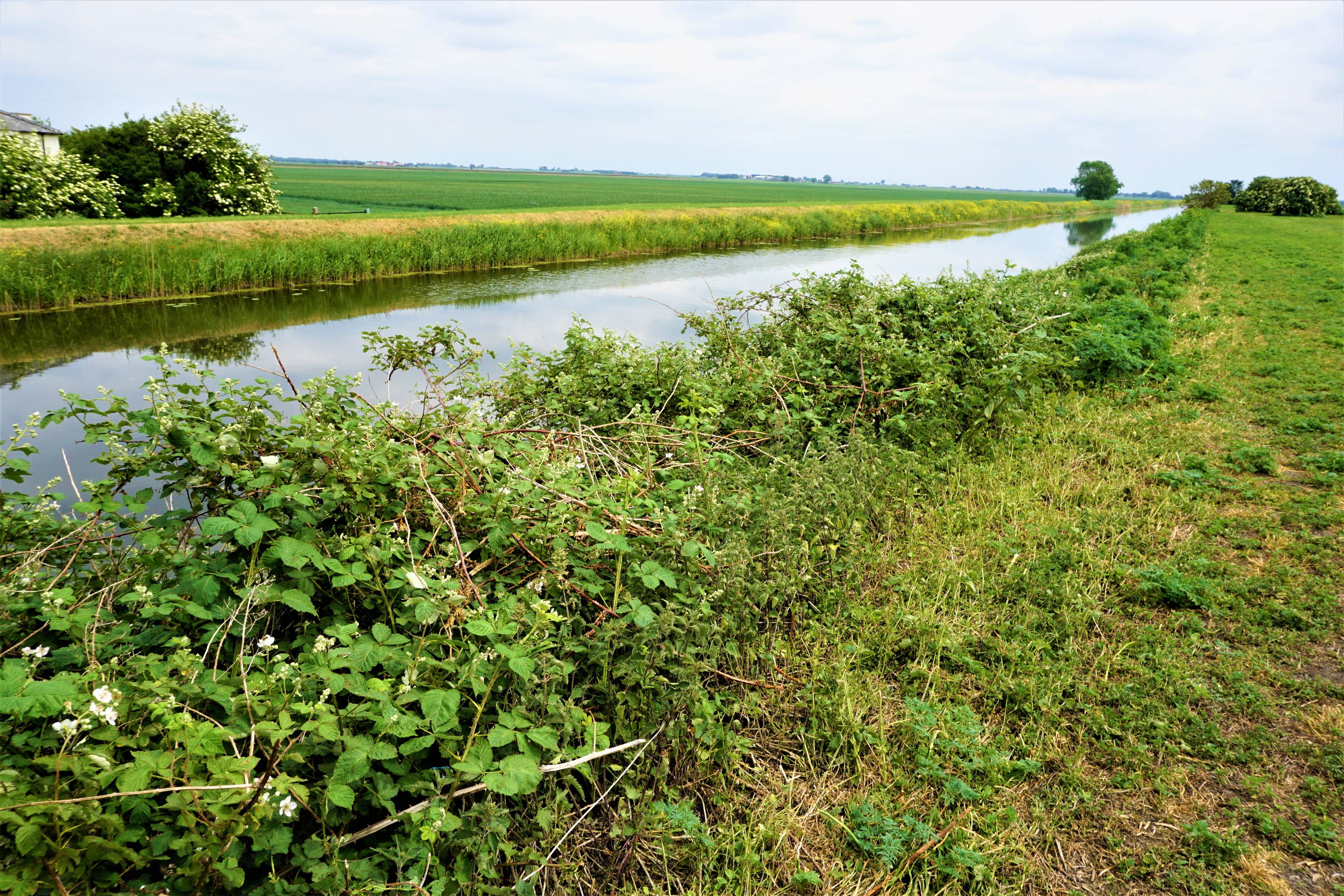 Nearby River
