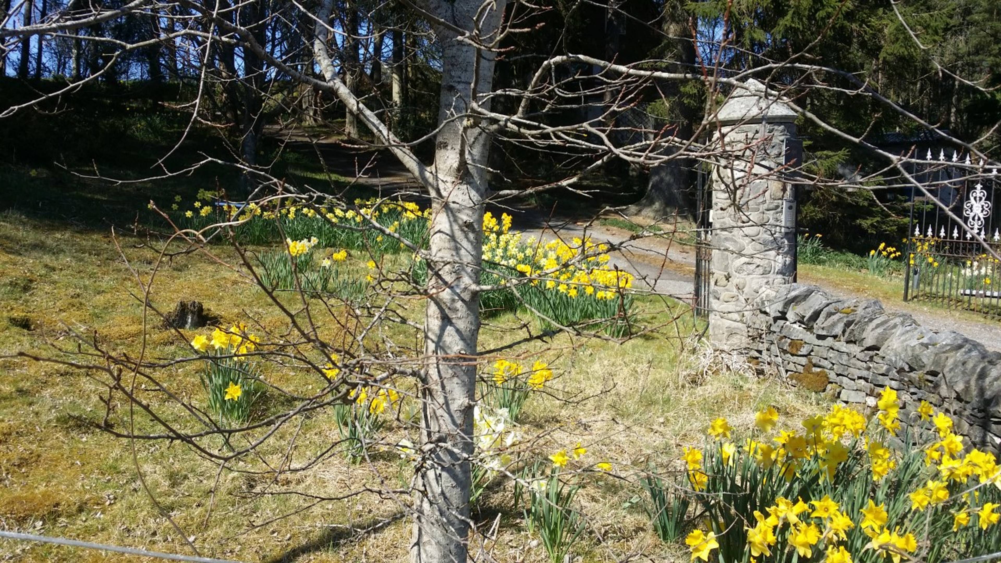Grounds