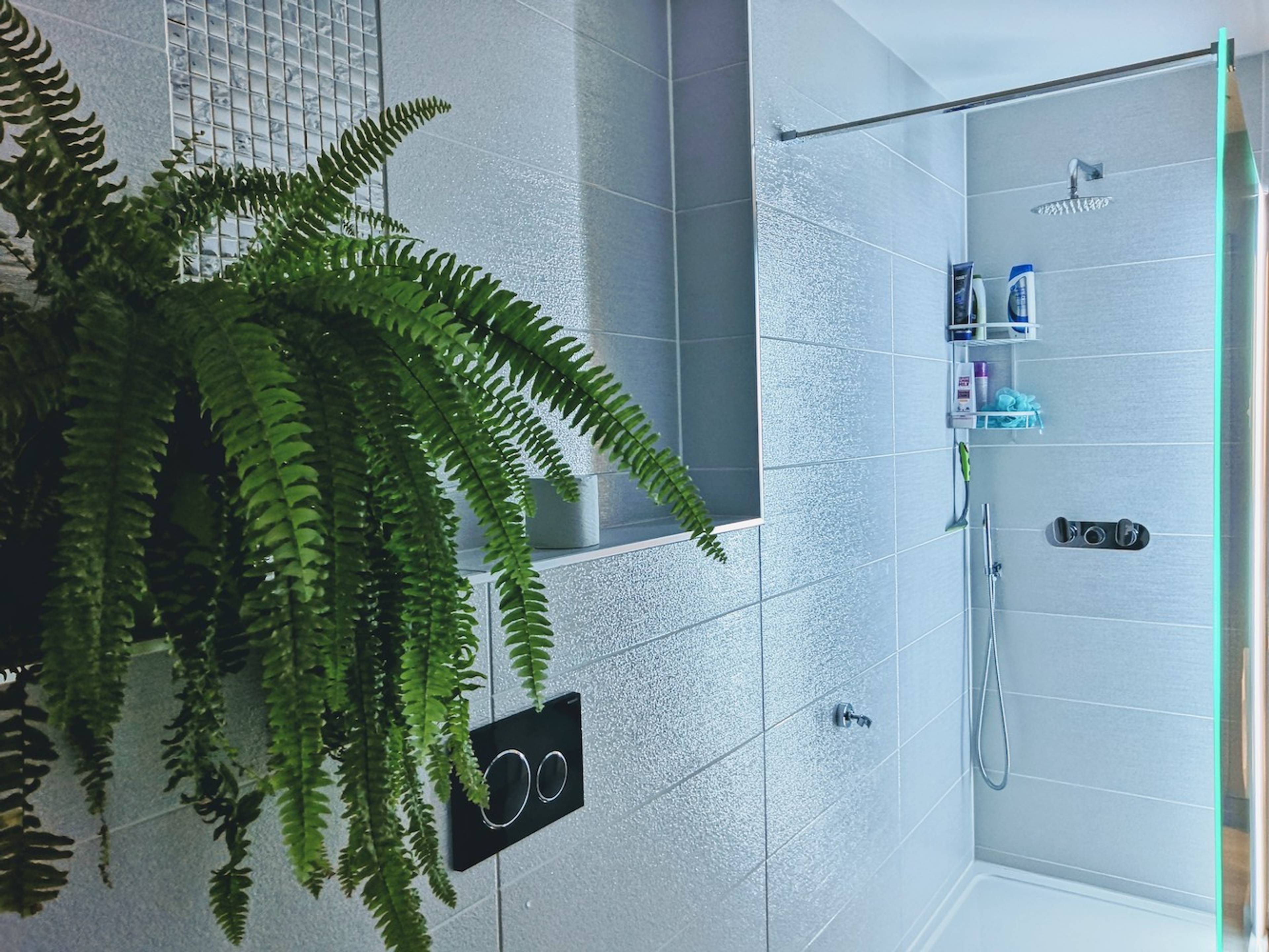 Downstairs Shower