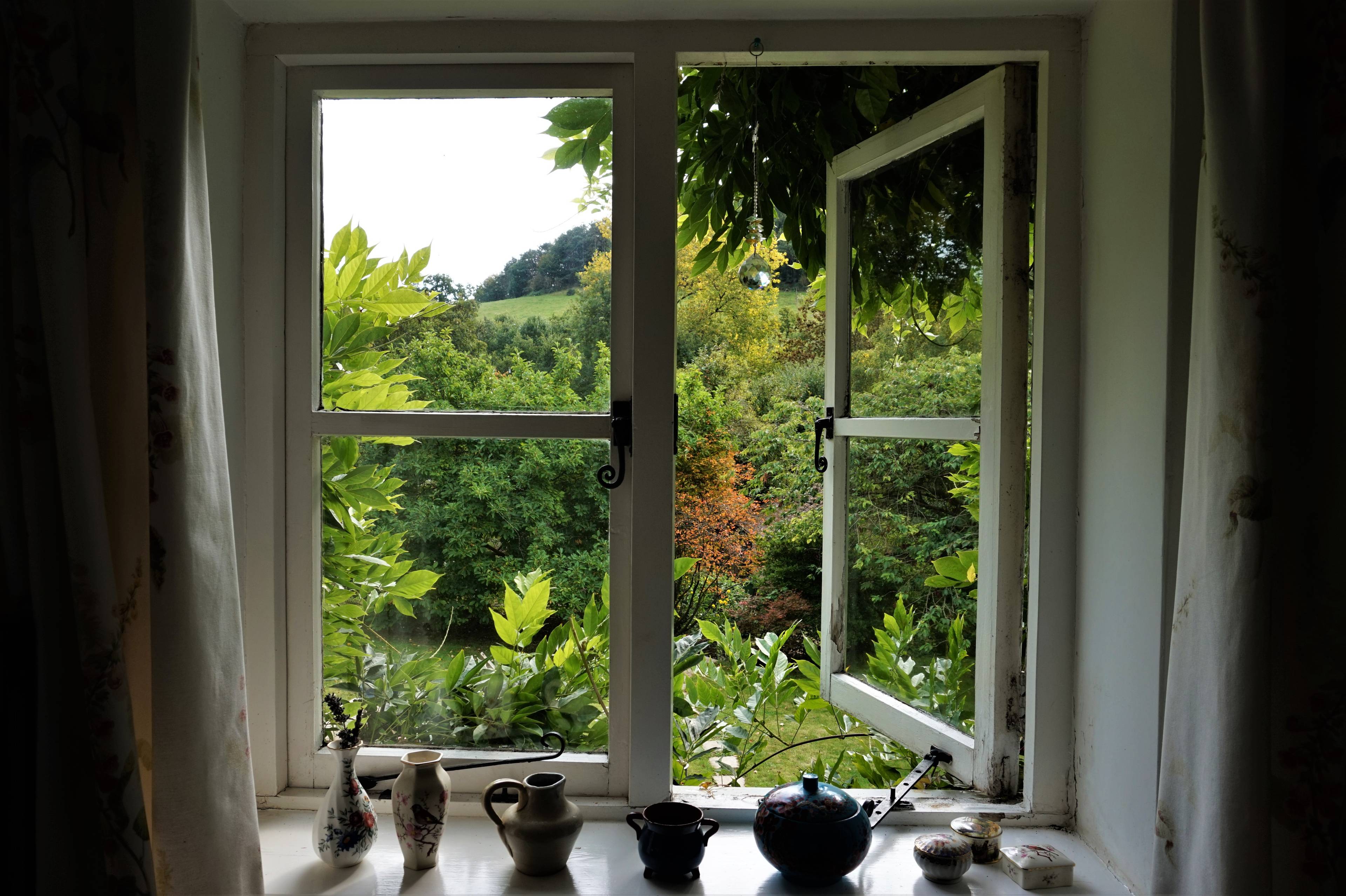 View