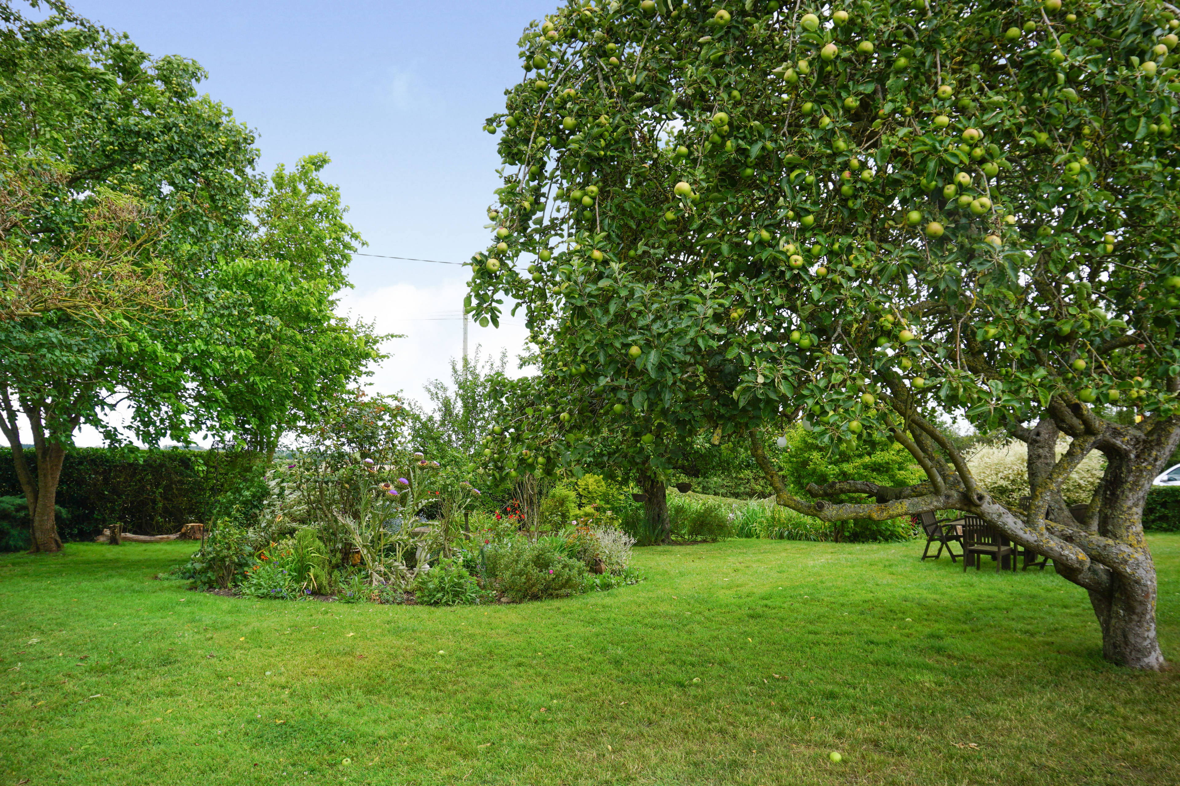Front Garden