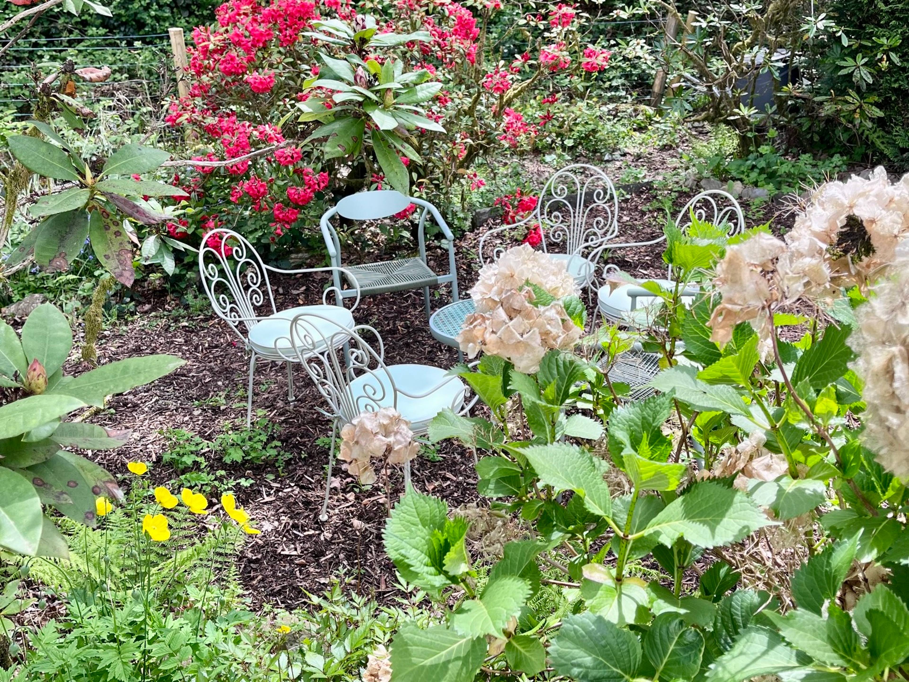 Side Garden