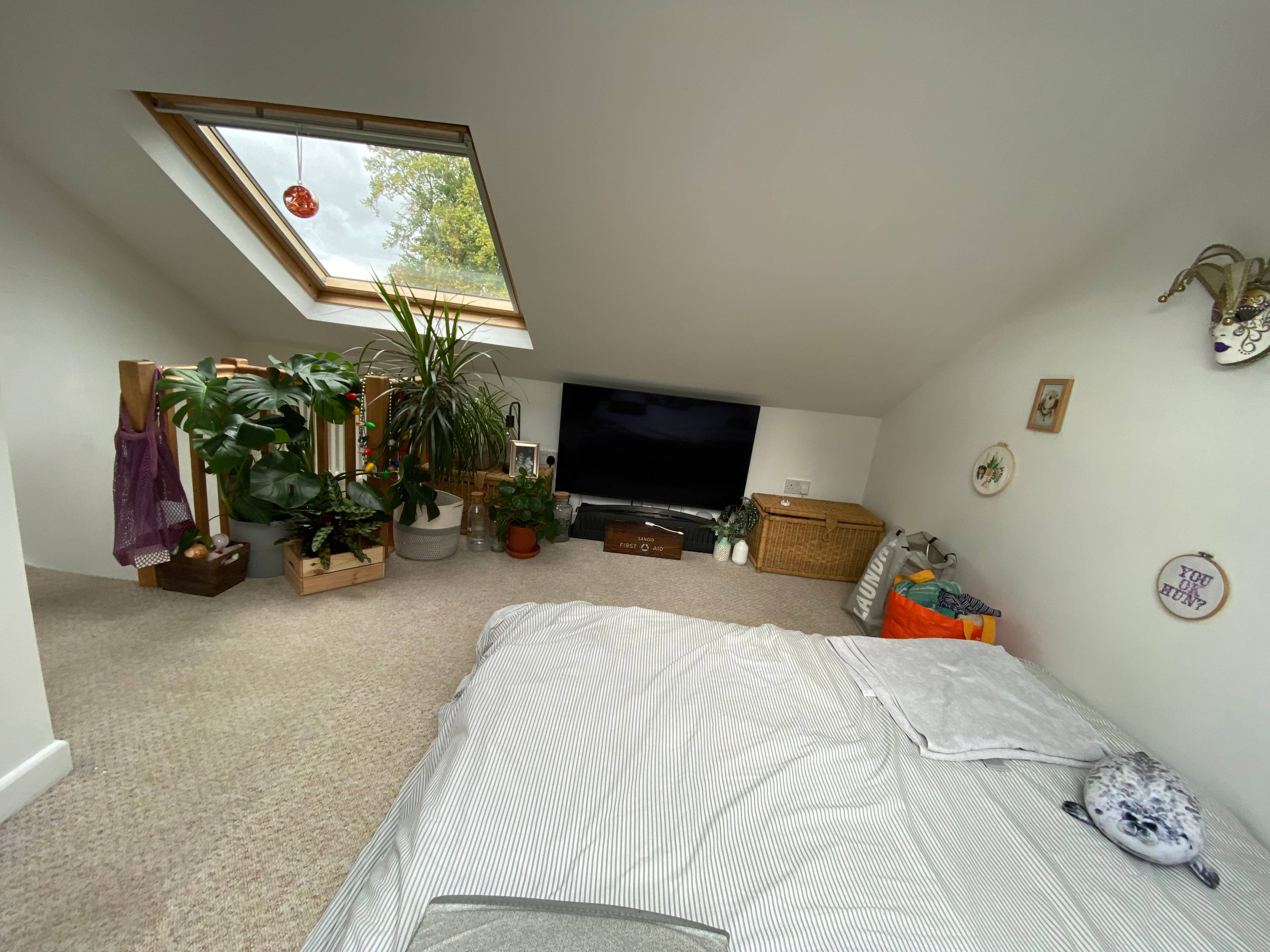Attic Room