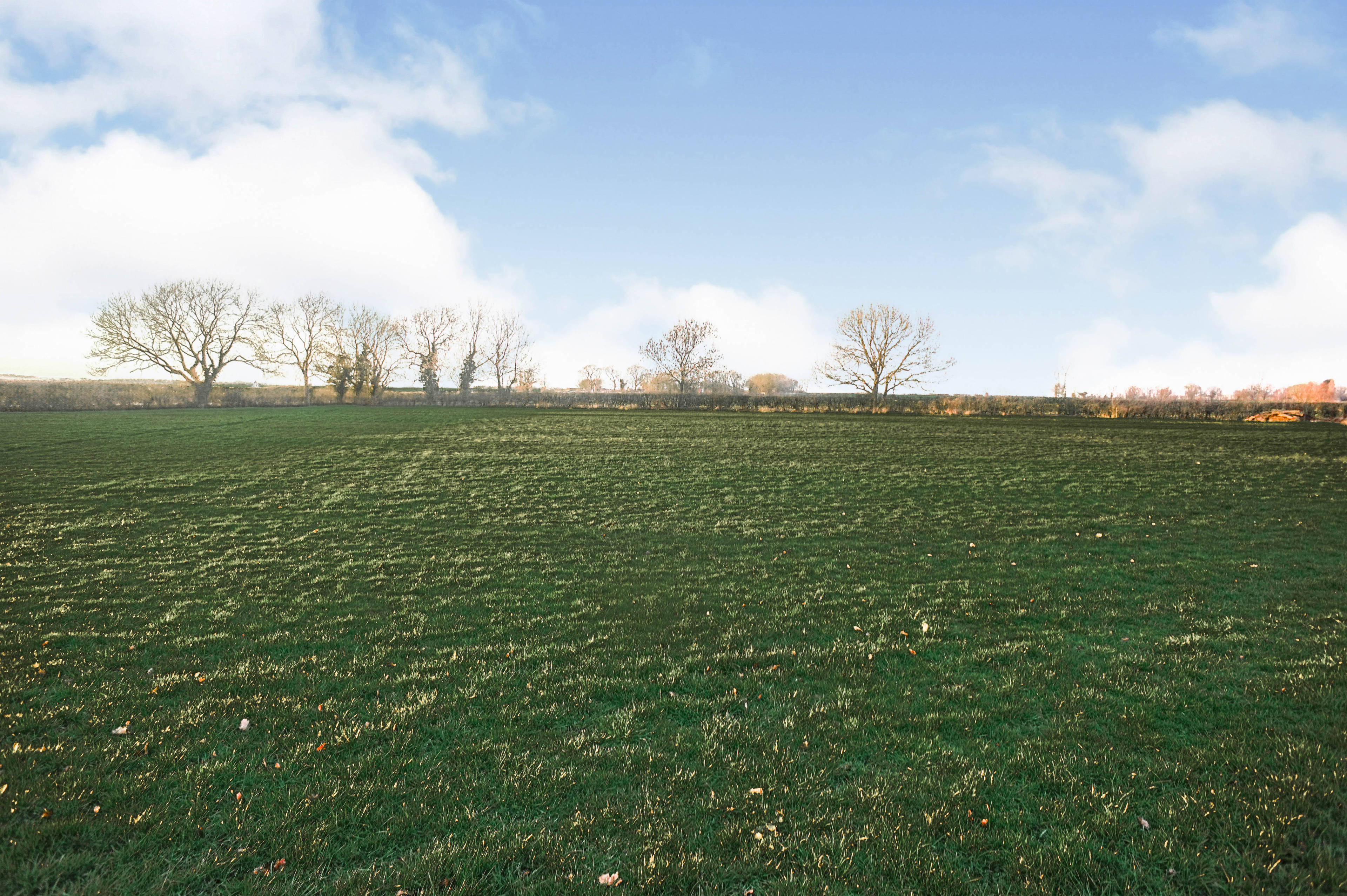 Land