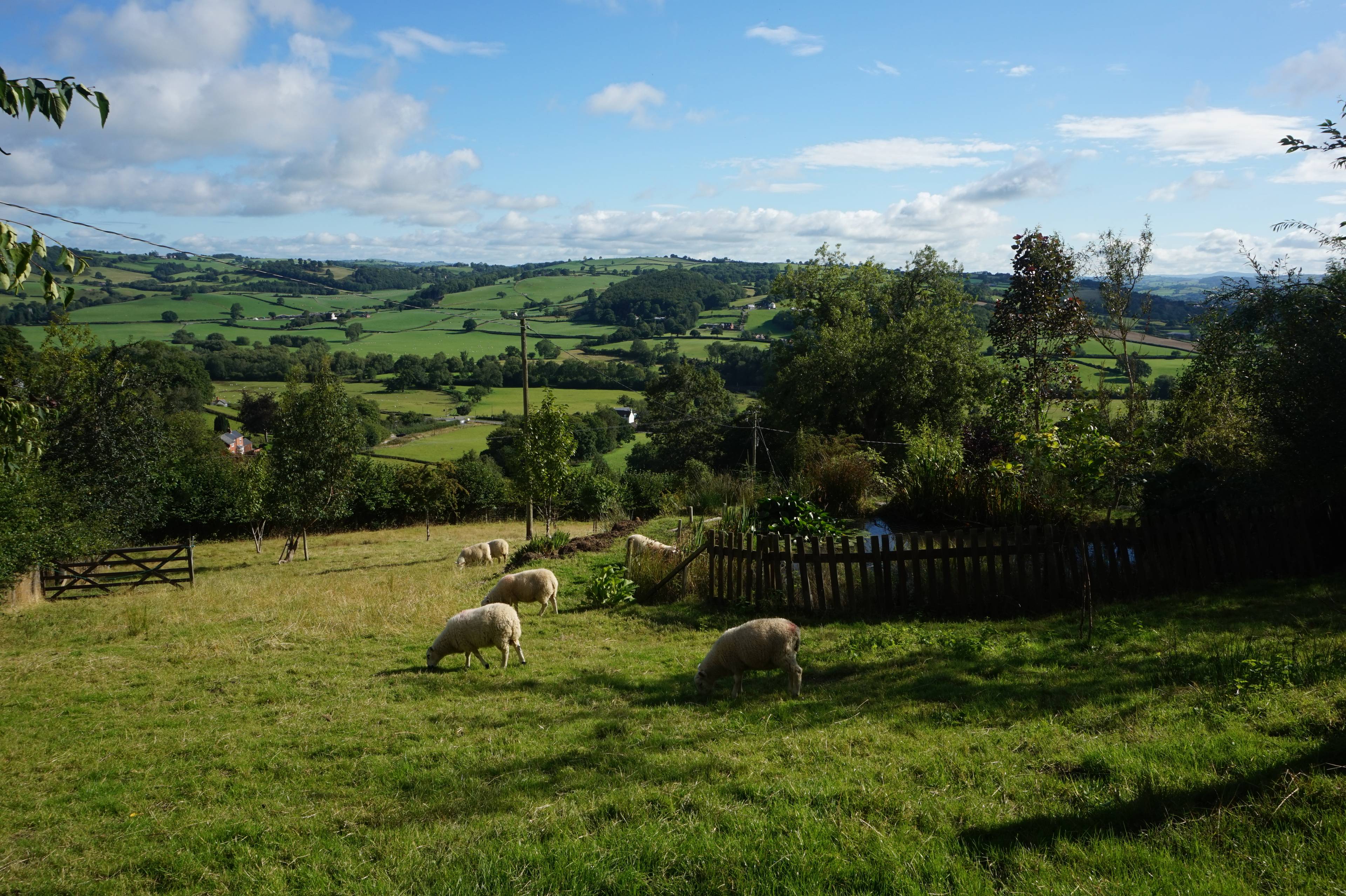 Land