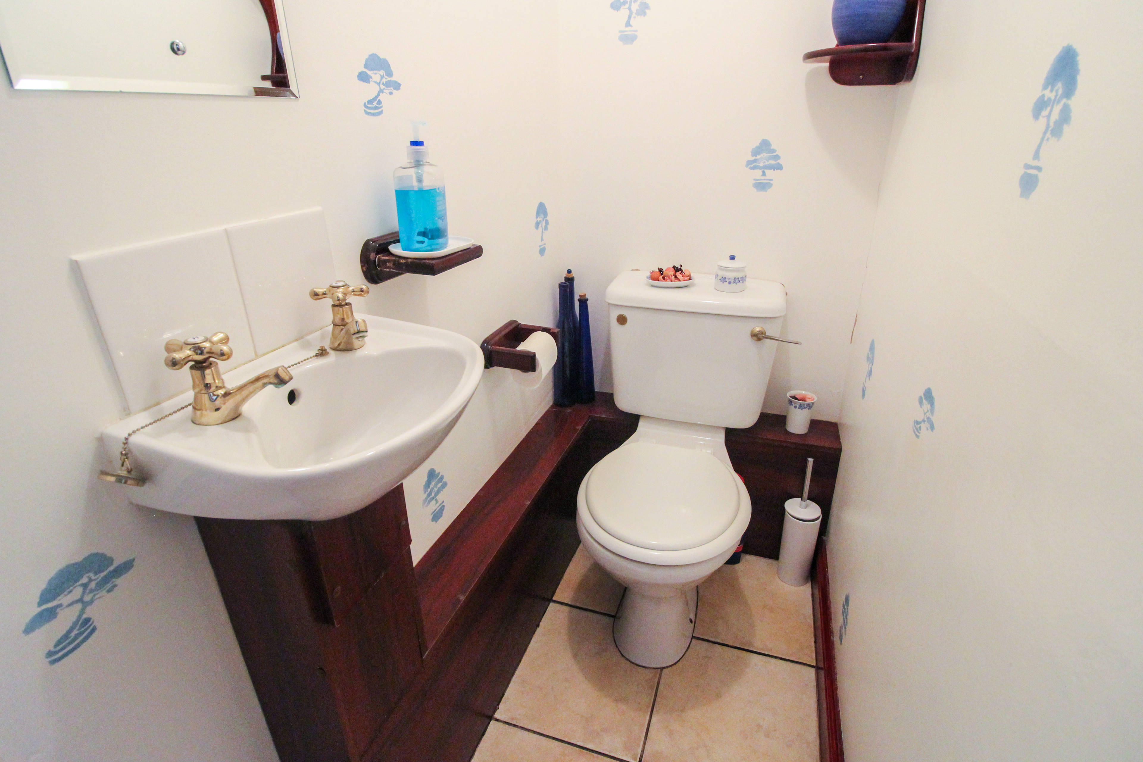 Downstairs Cloakroom