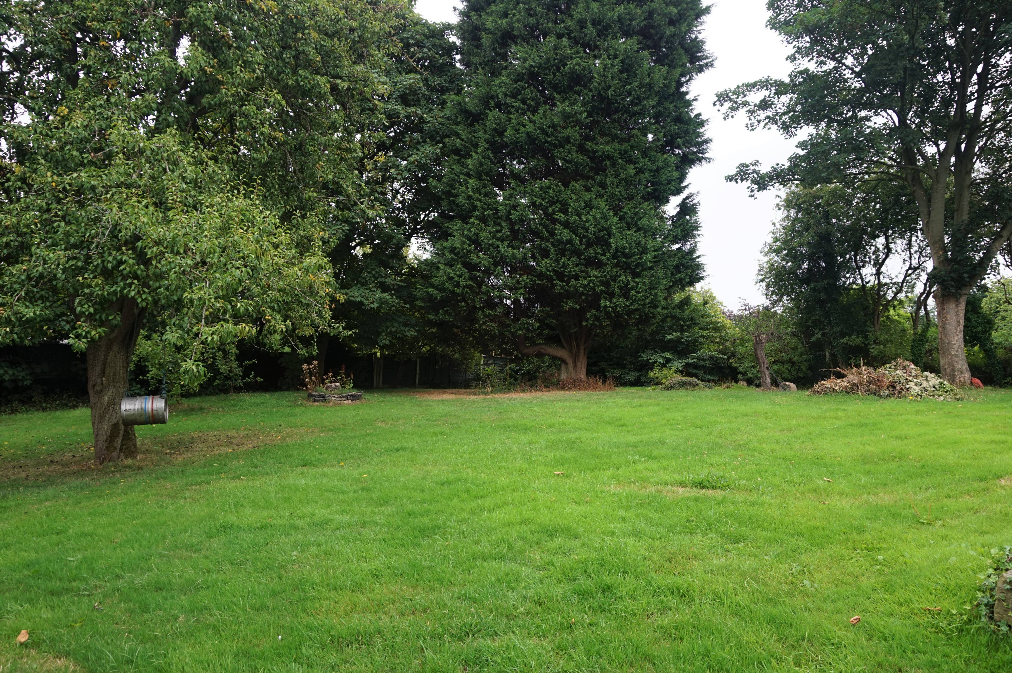 Side Garden