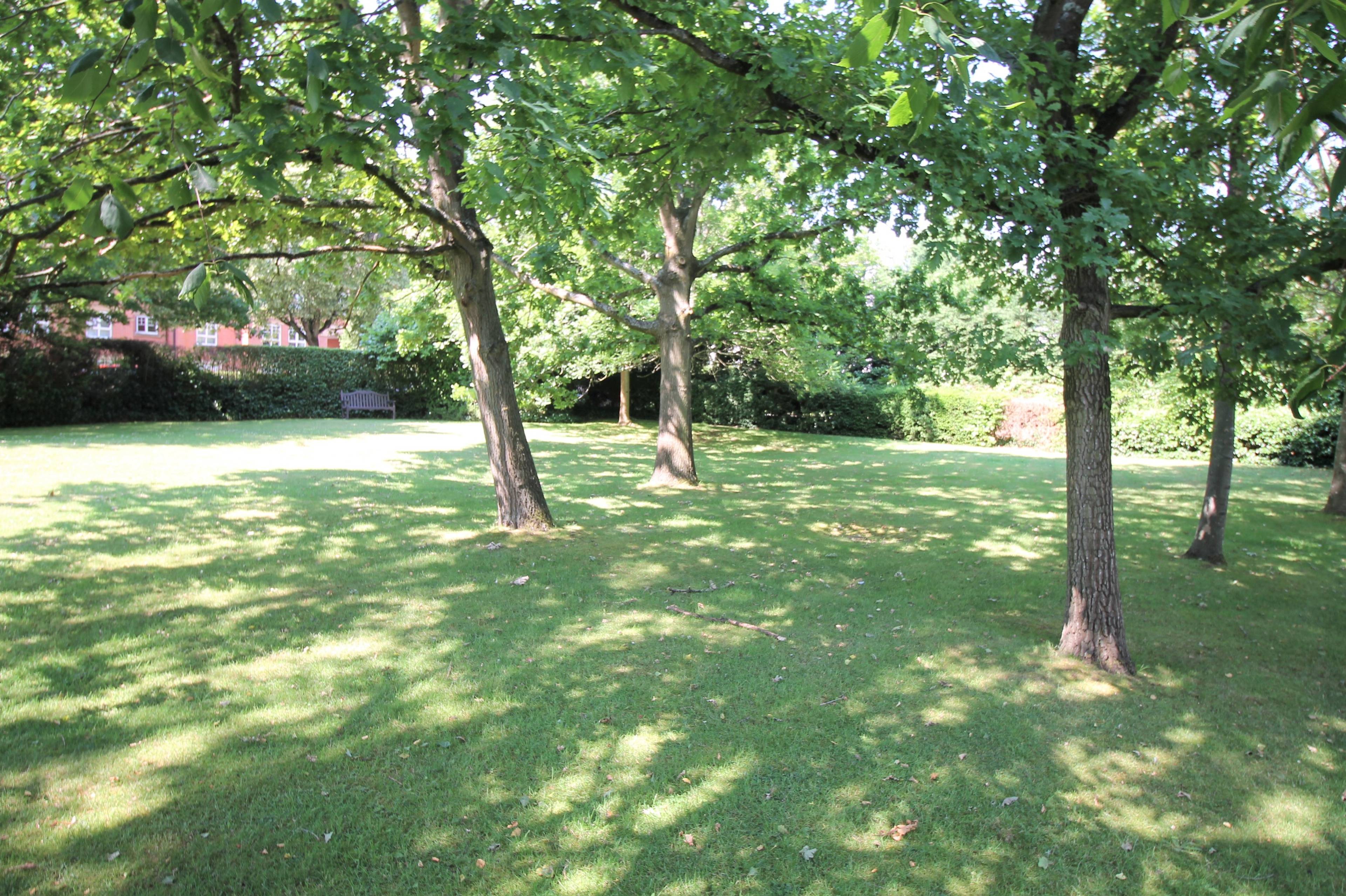 Communal Gardens