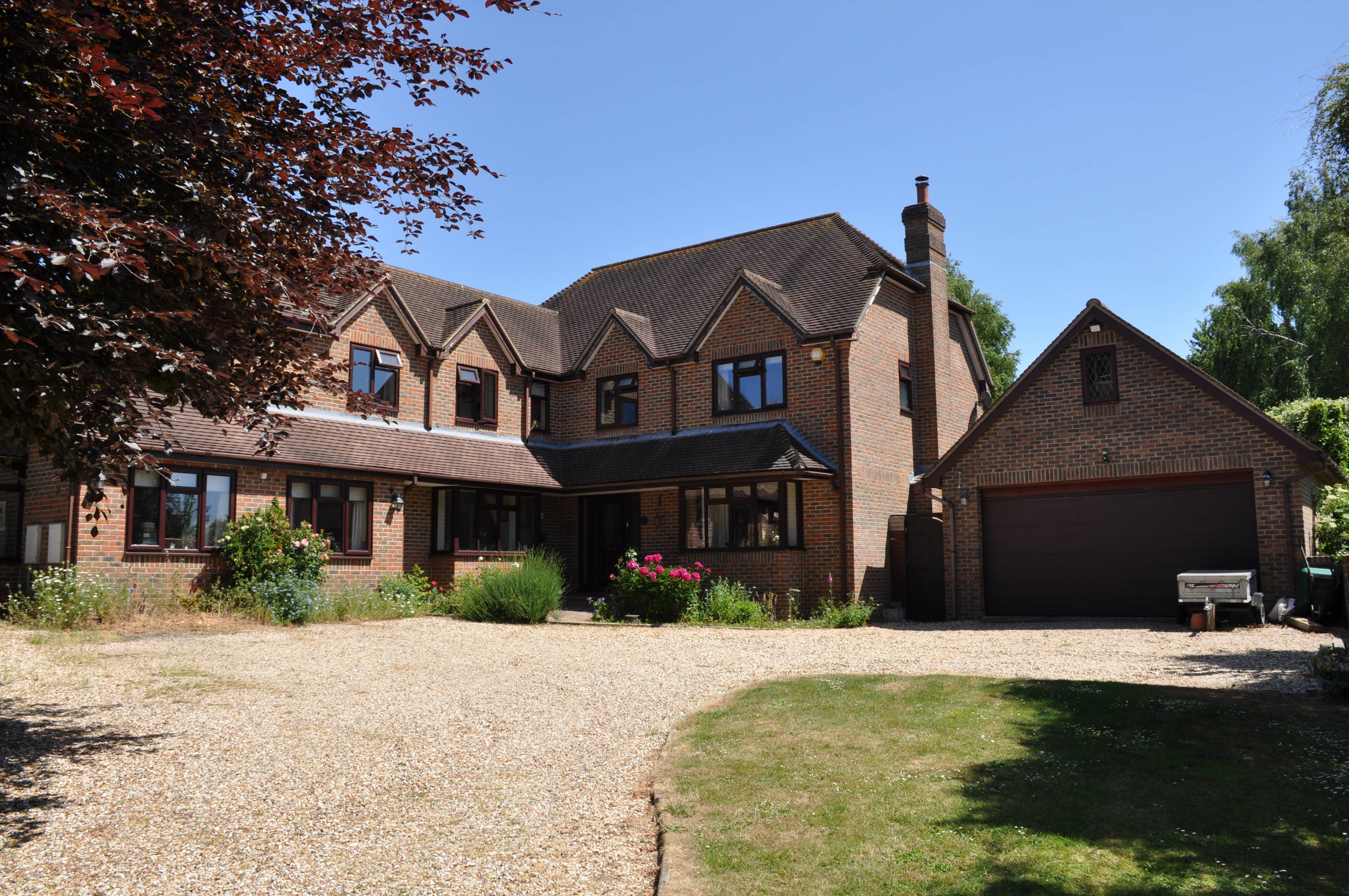 Front View