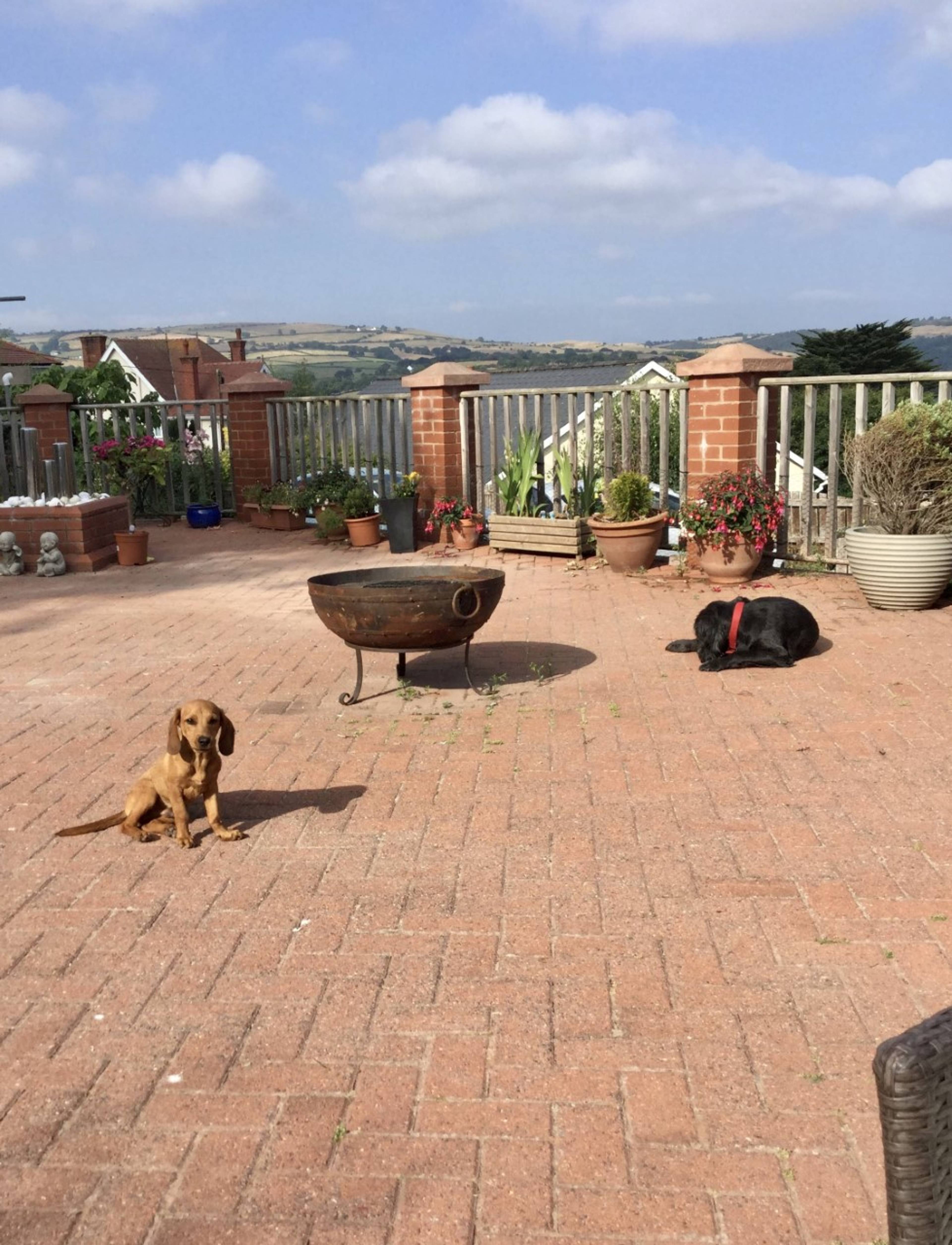 Sun Terrace