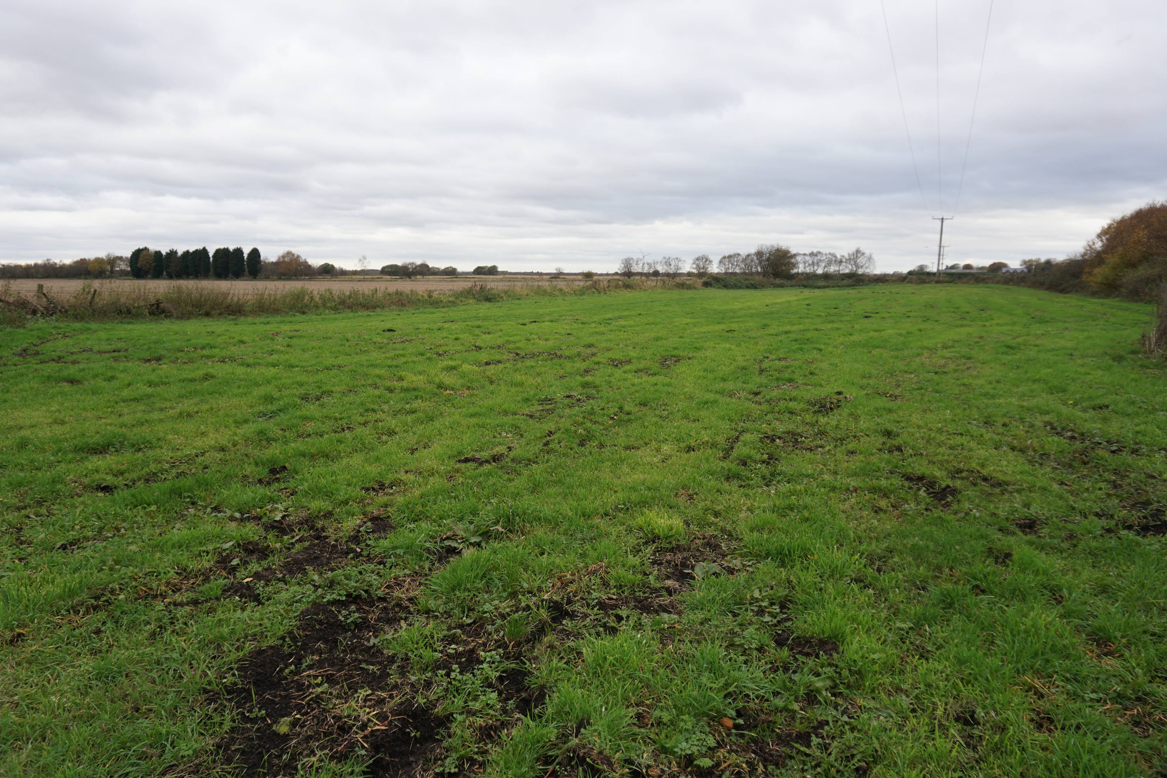 Land