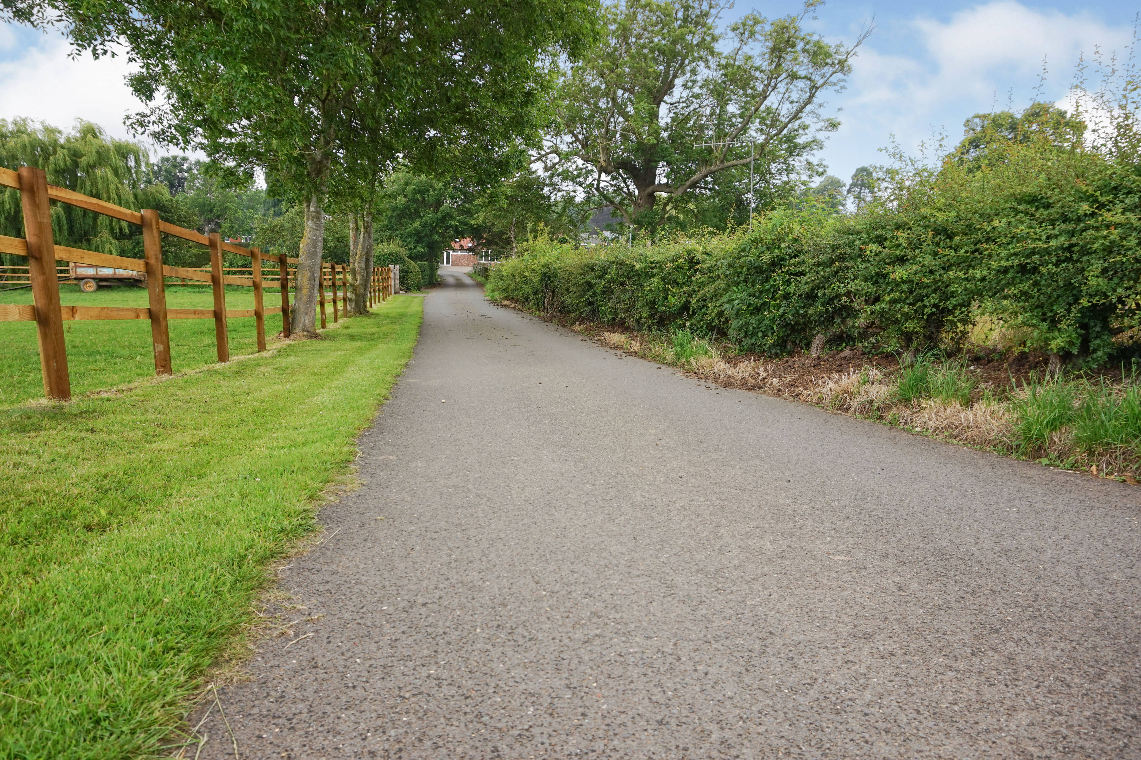 Driveway