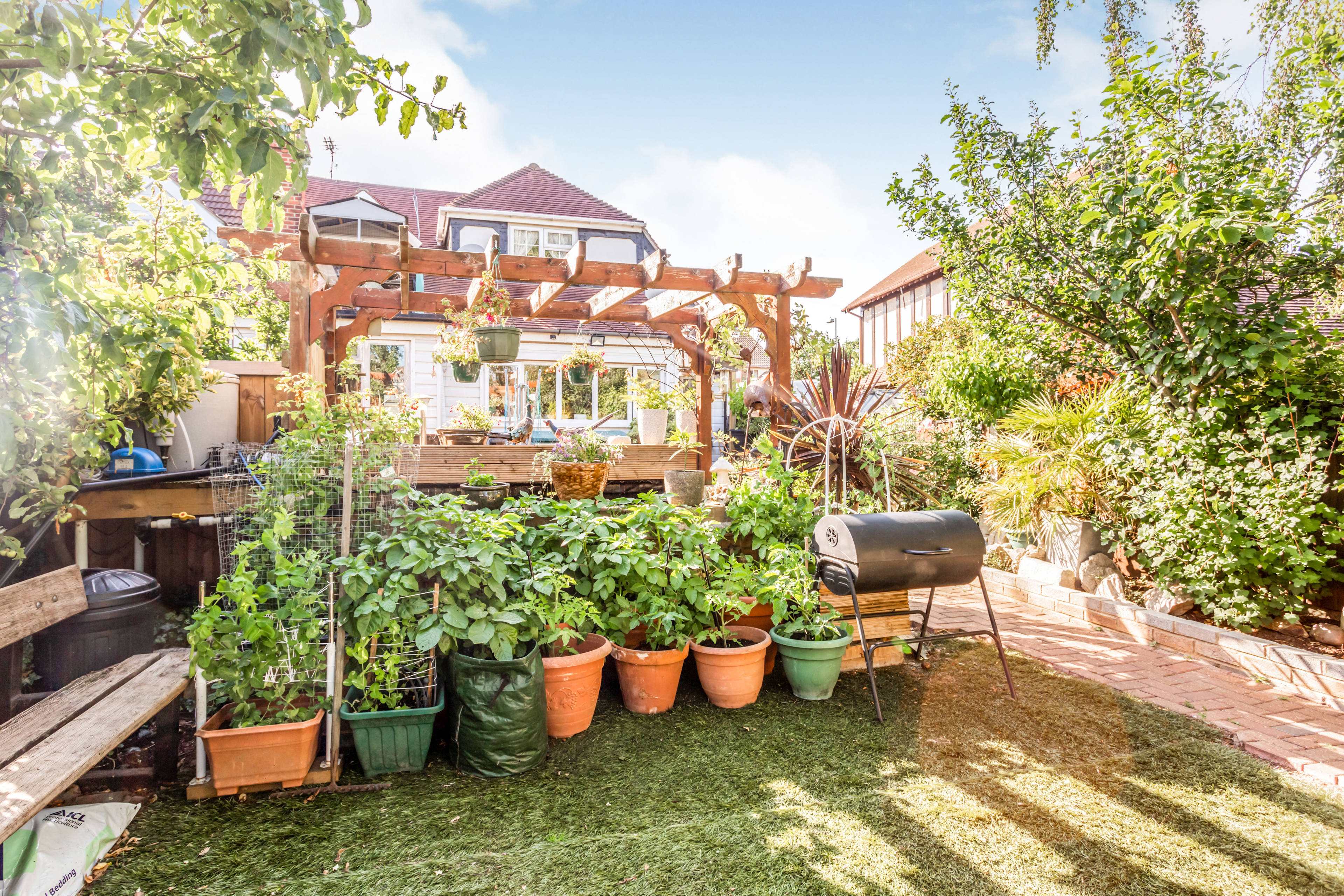 Garden