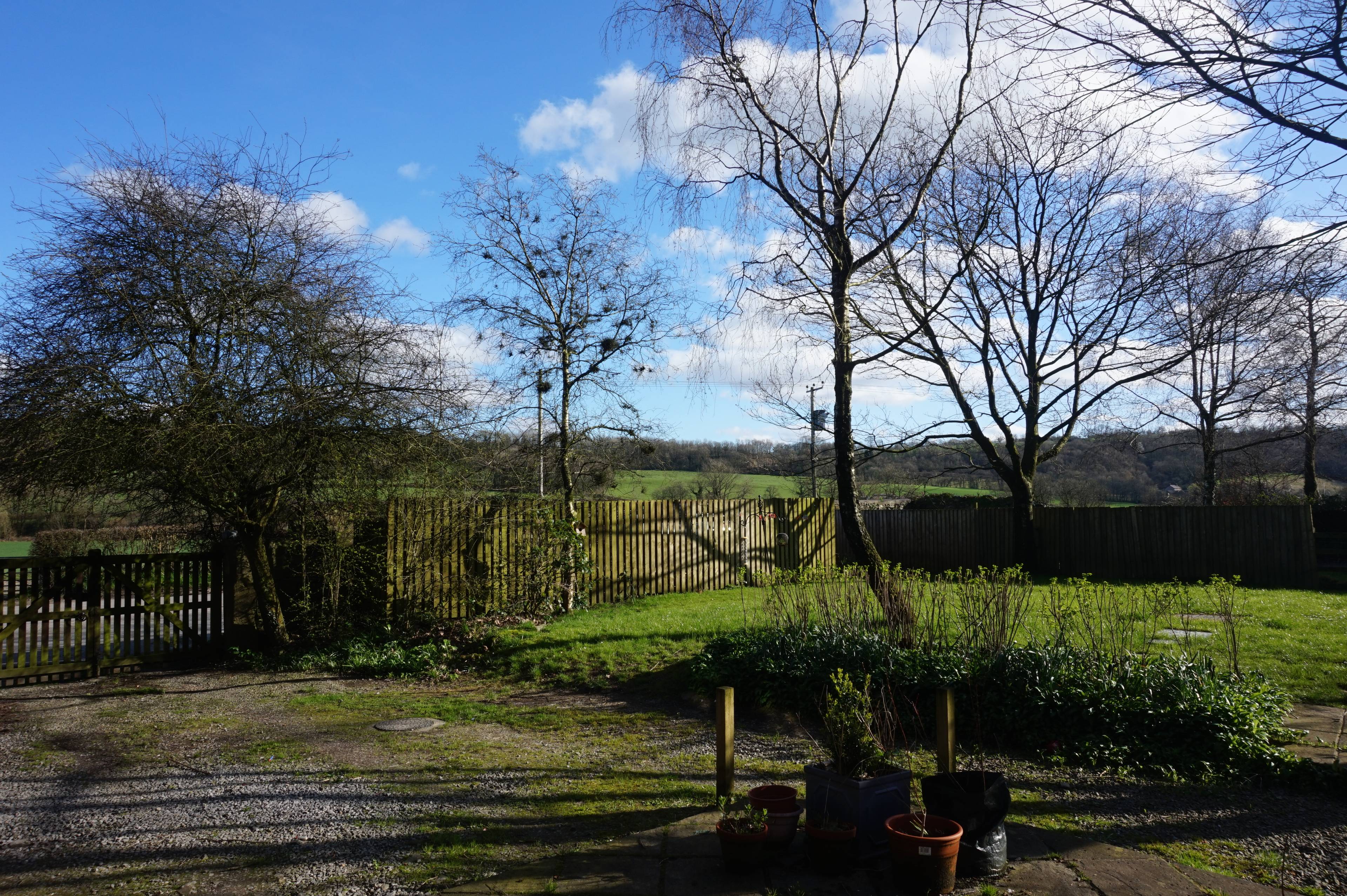 Front Garden