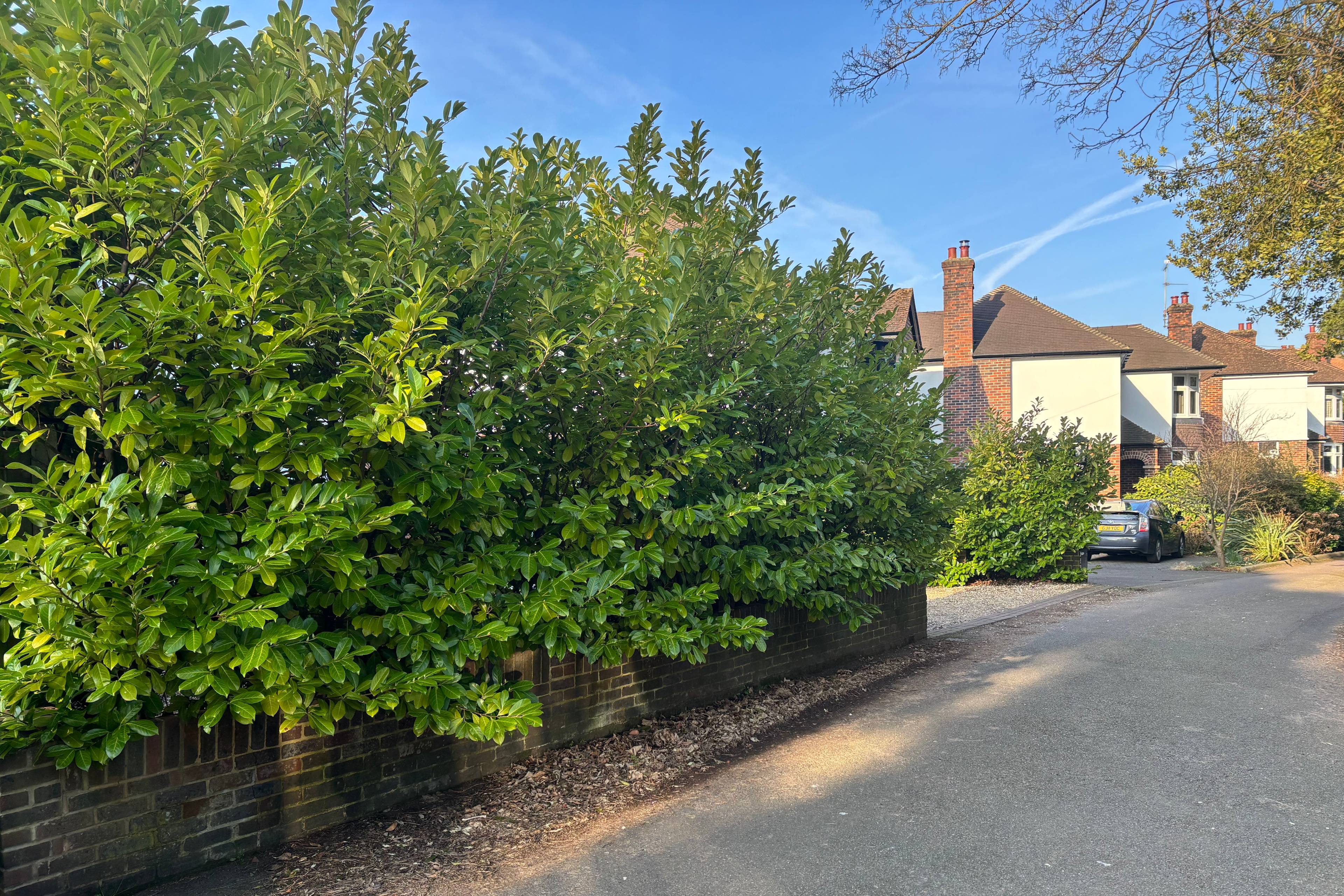 Driveway