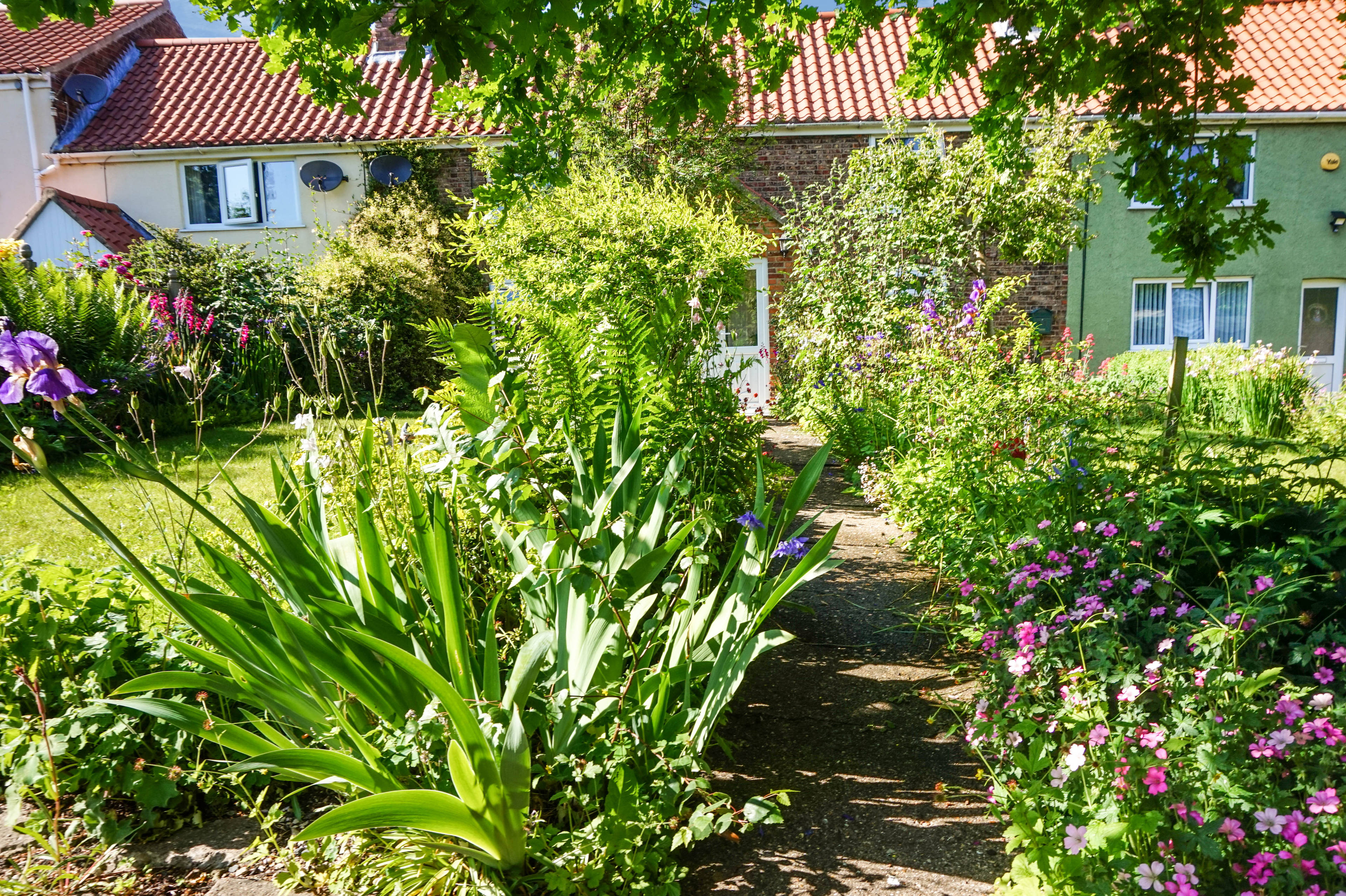 Front Garden
