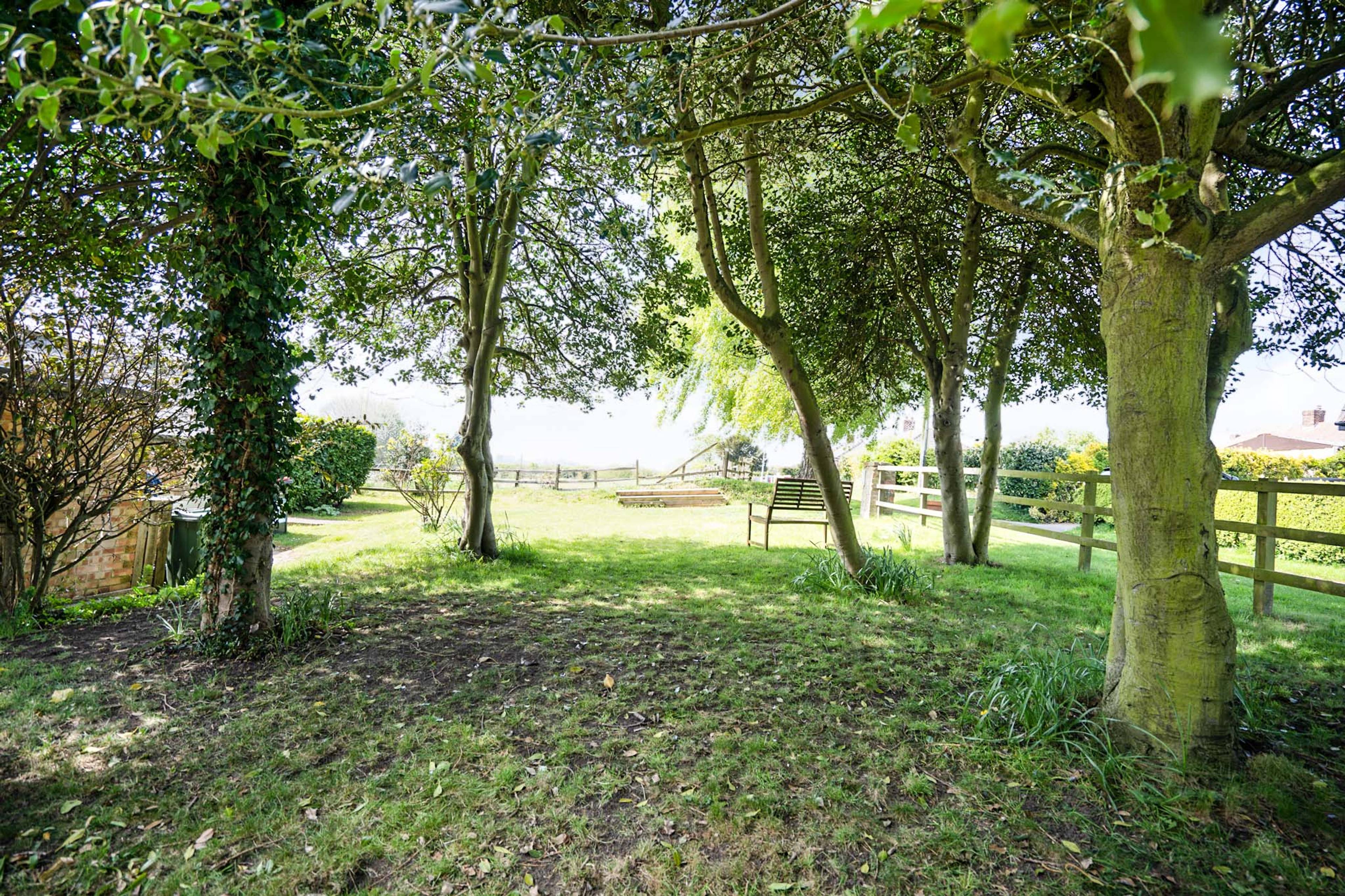 garden