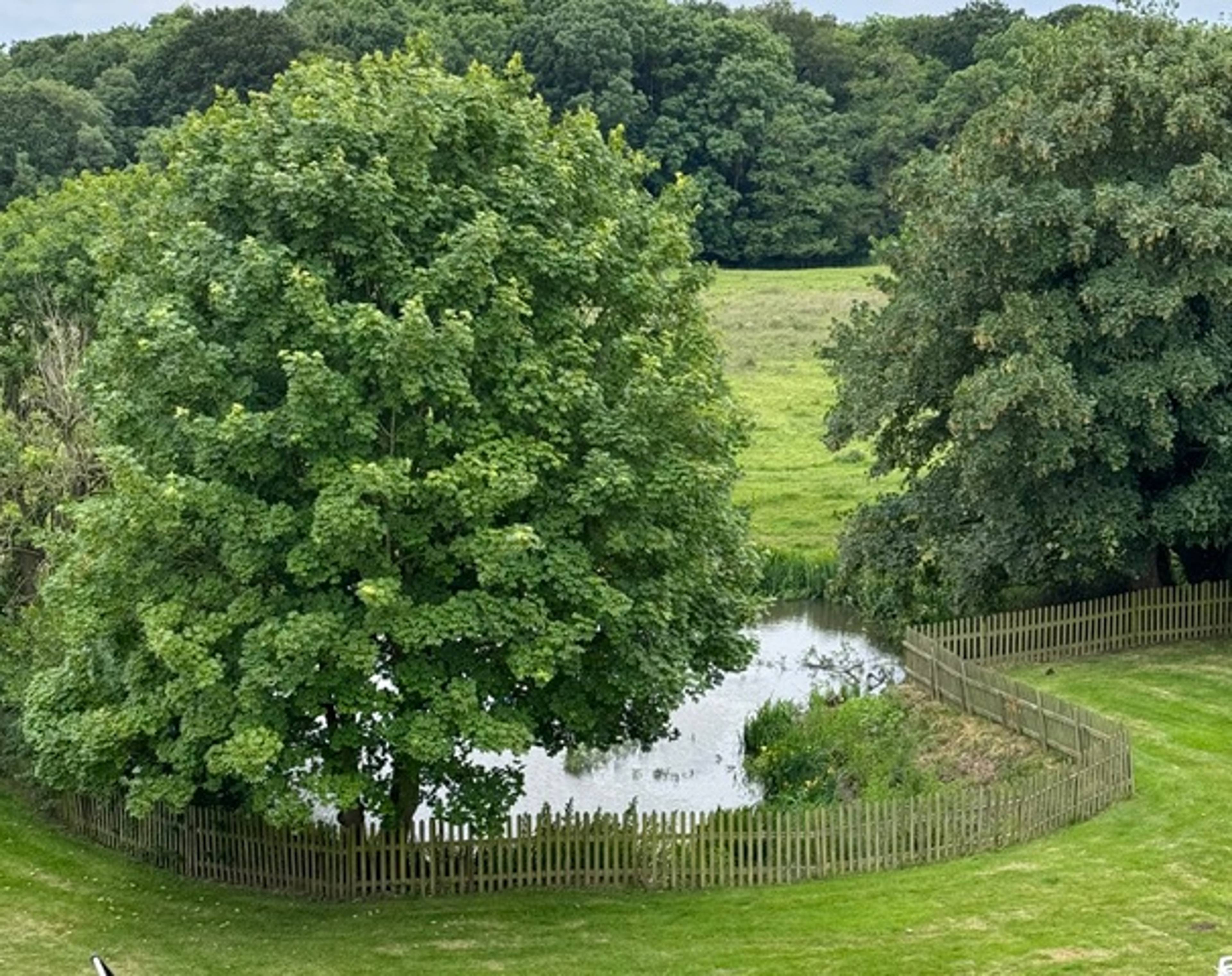 view