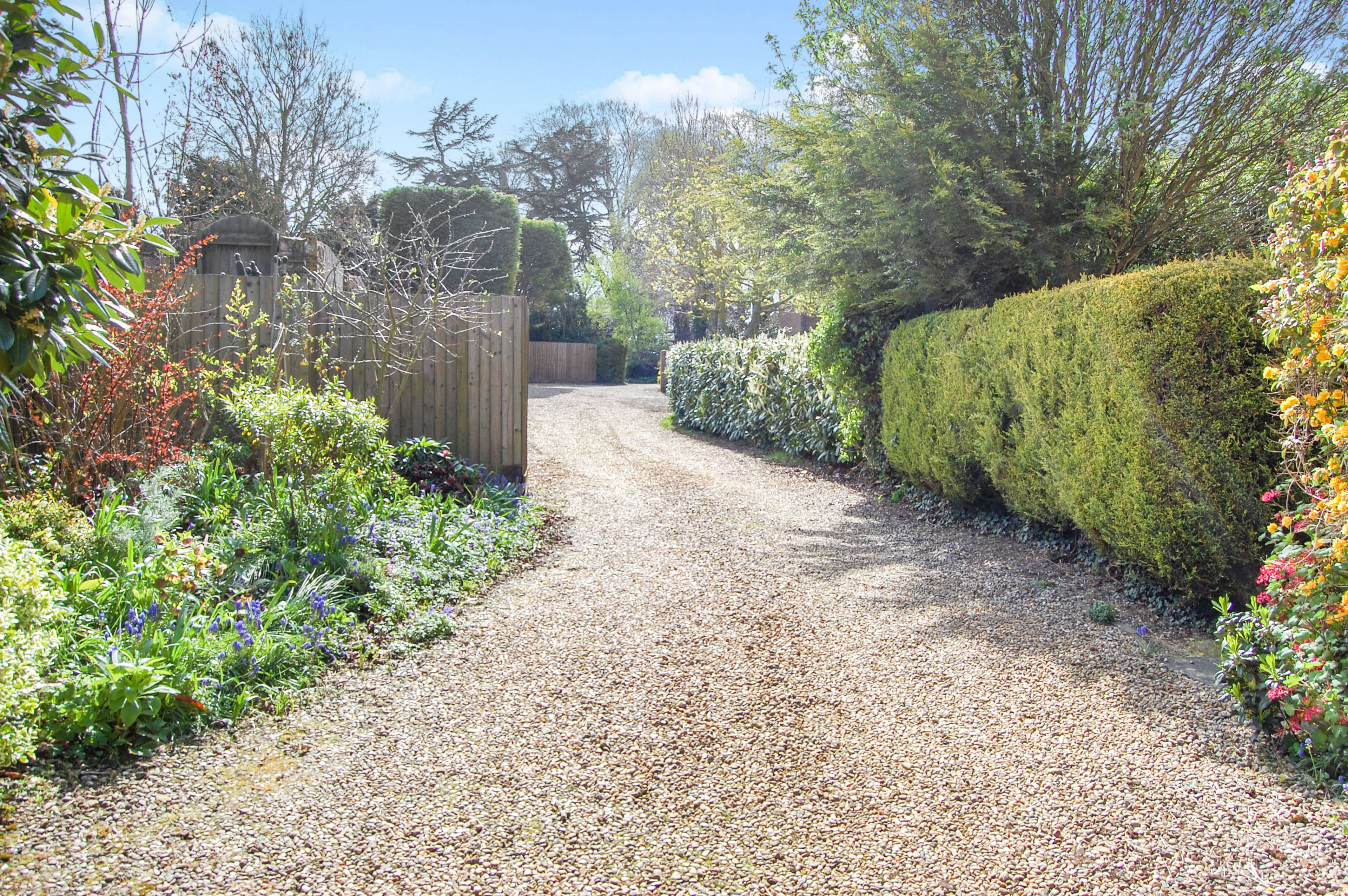 Driveway