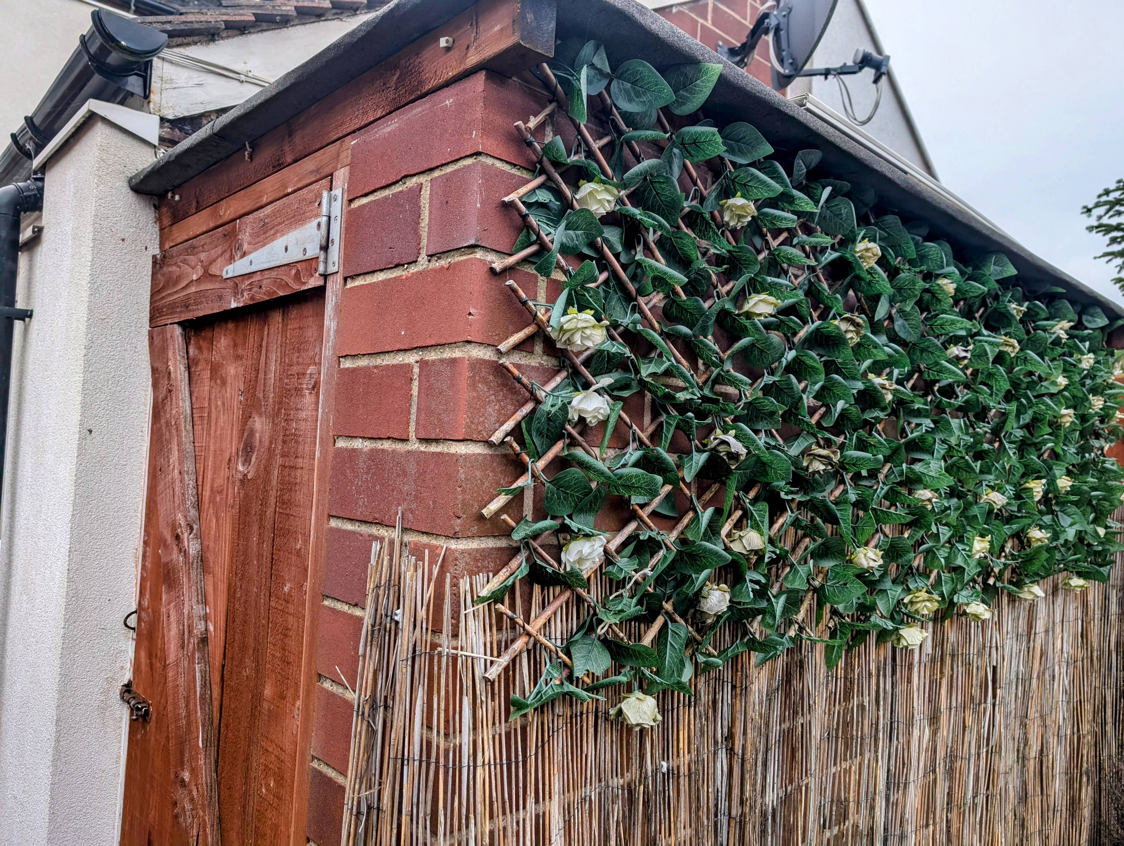 Shed