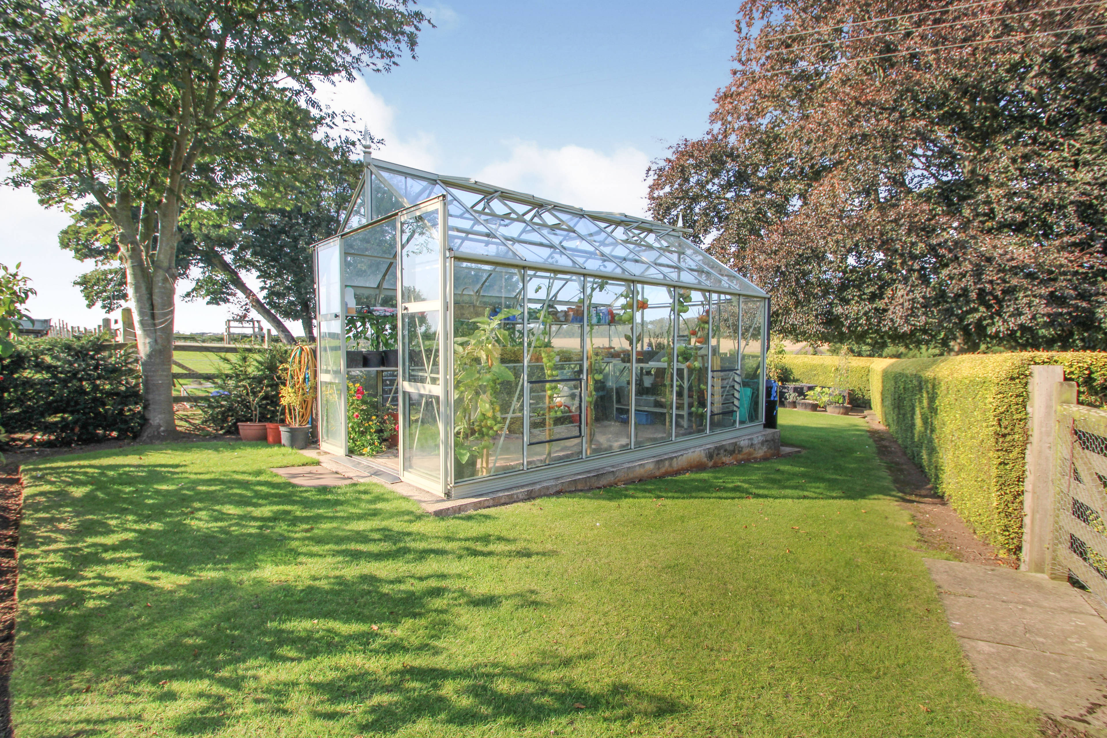 Greenhouse