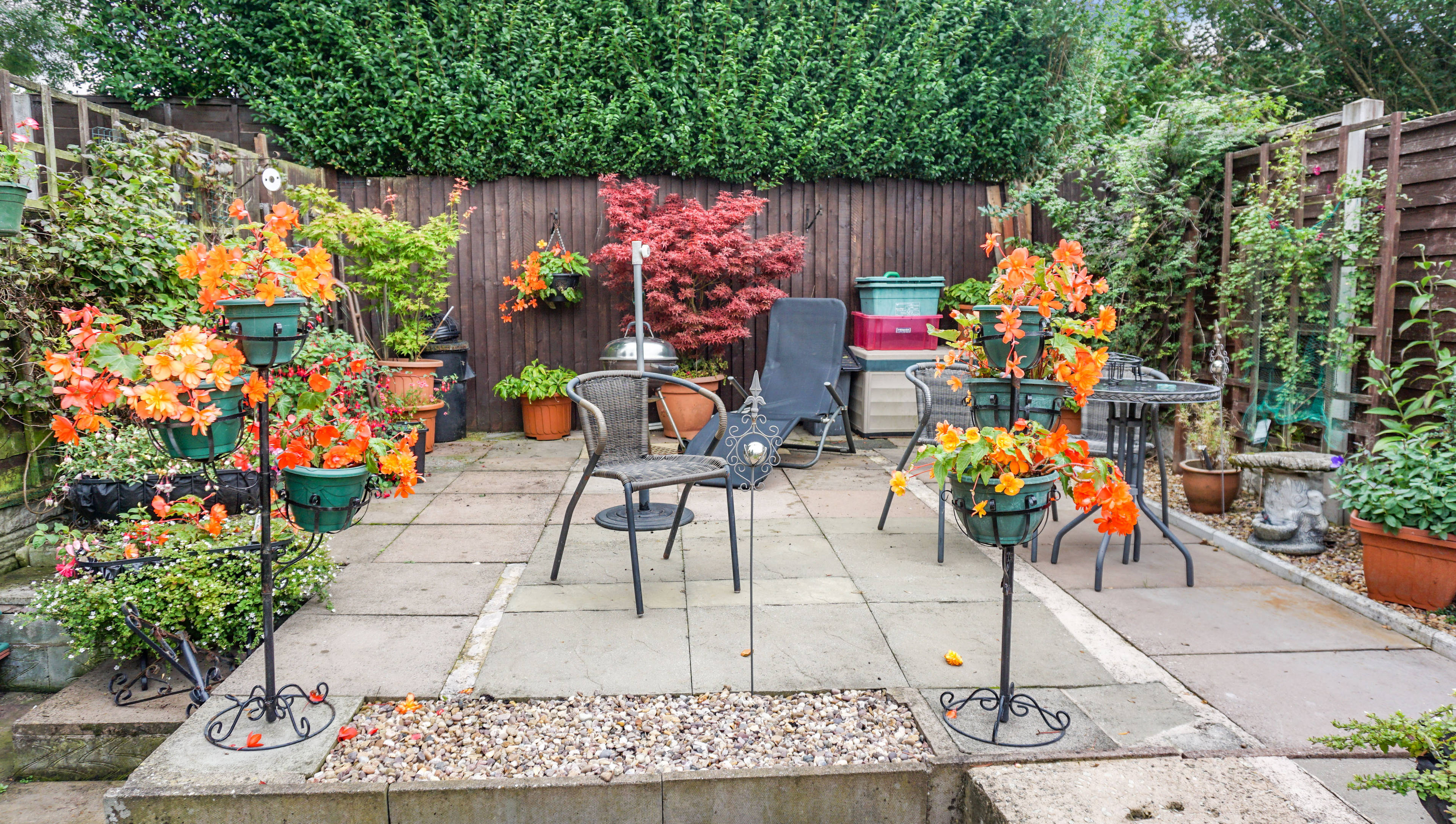 Garden