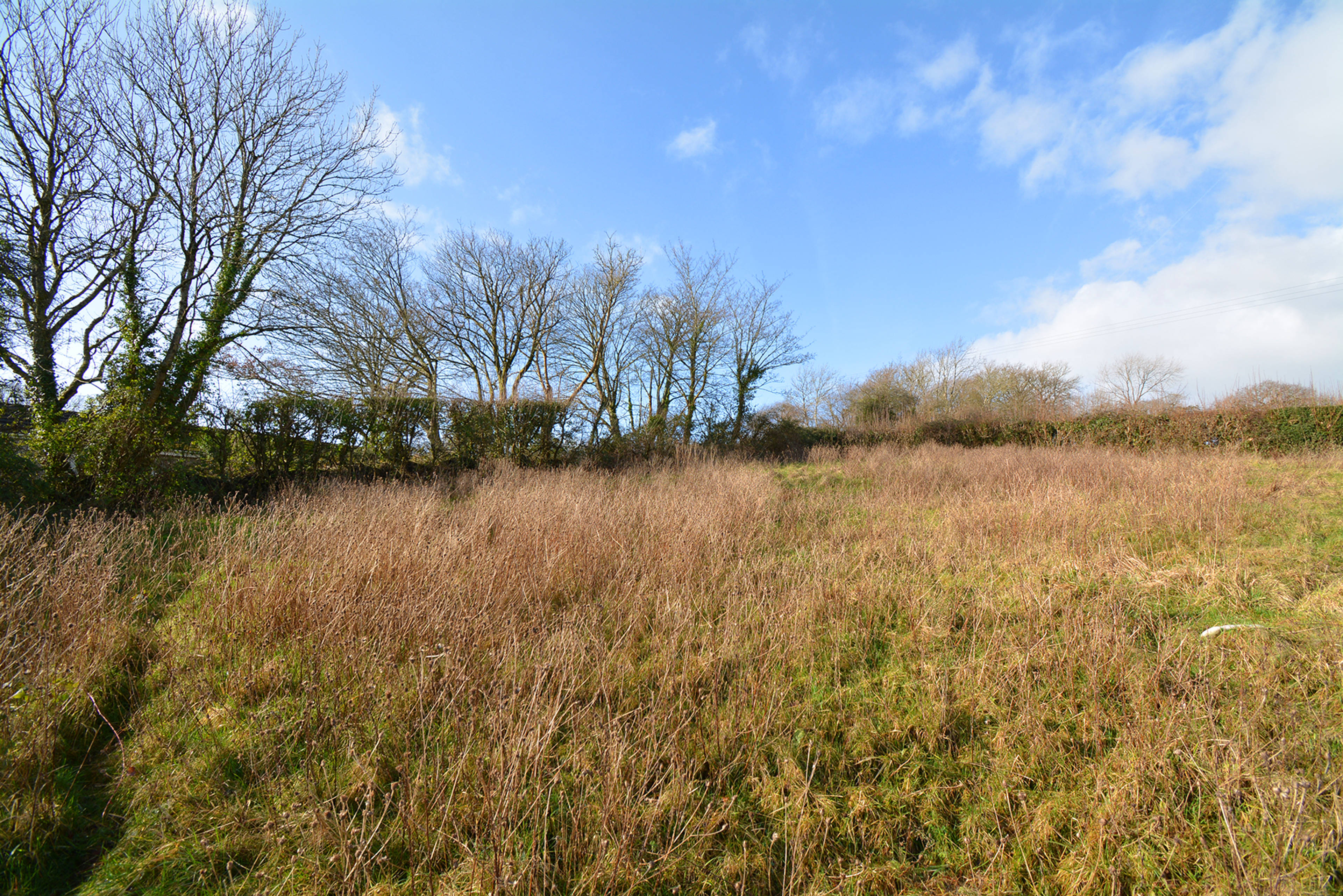 Plot 1